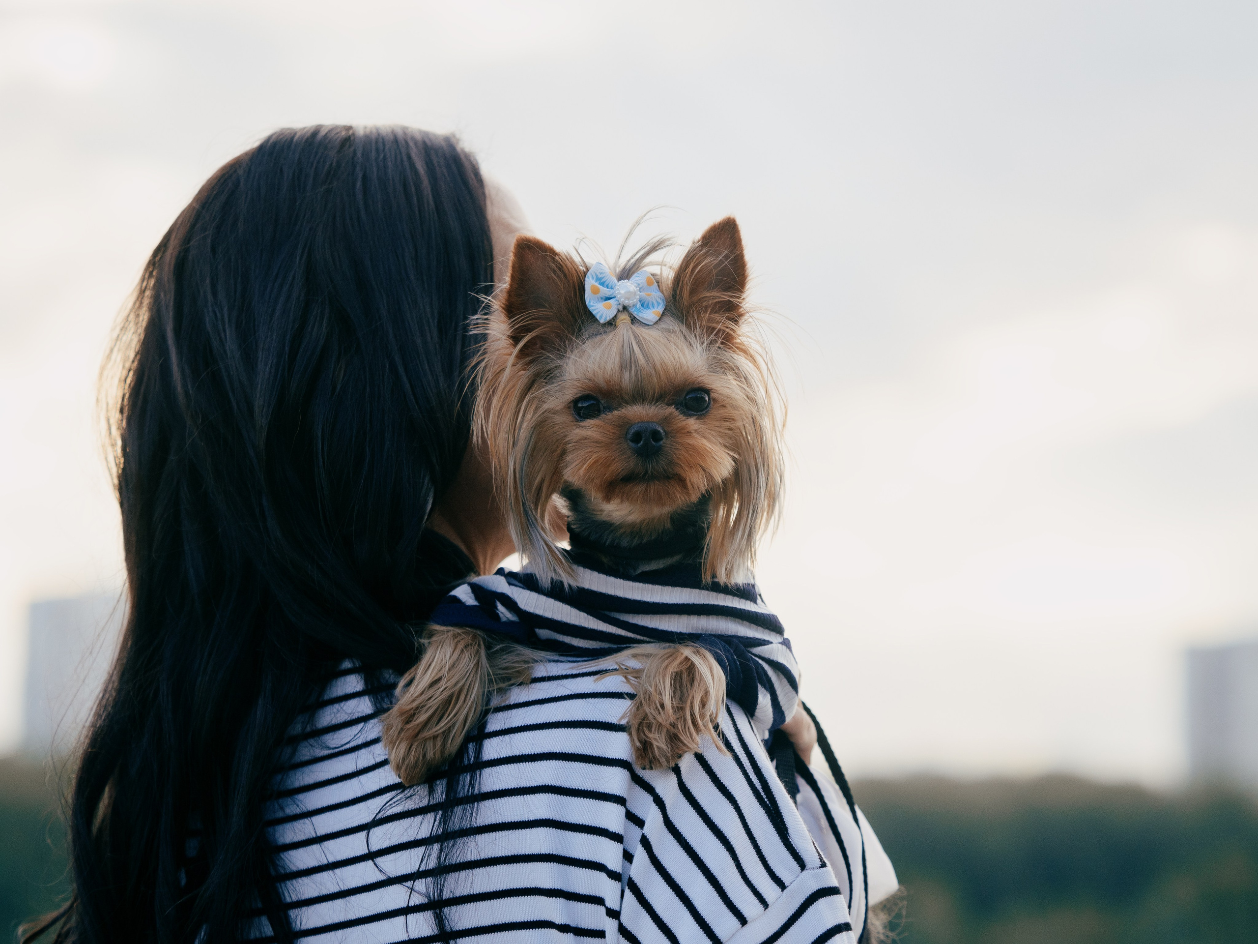 Фотопрогулка с питомцем. Маруся Машкова • Фотограф в Москве