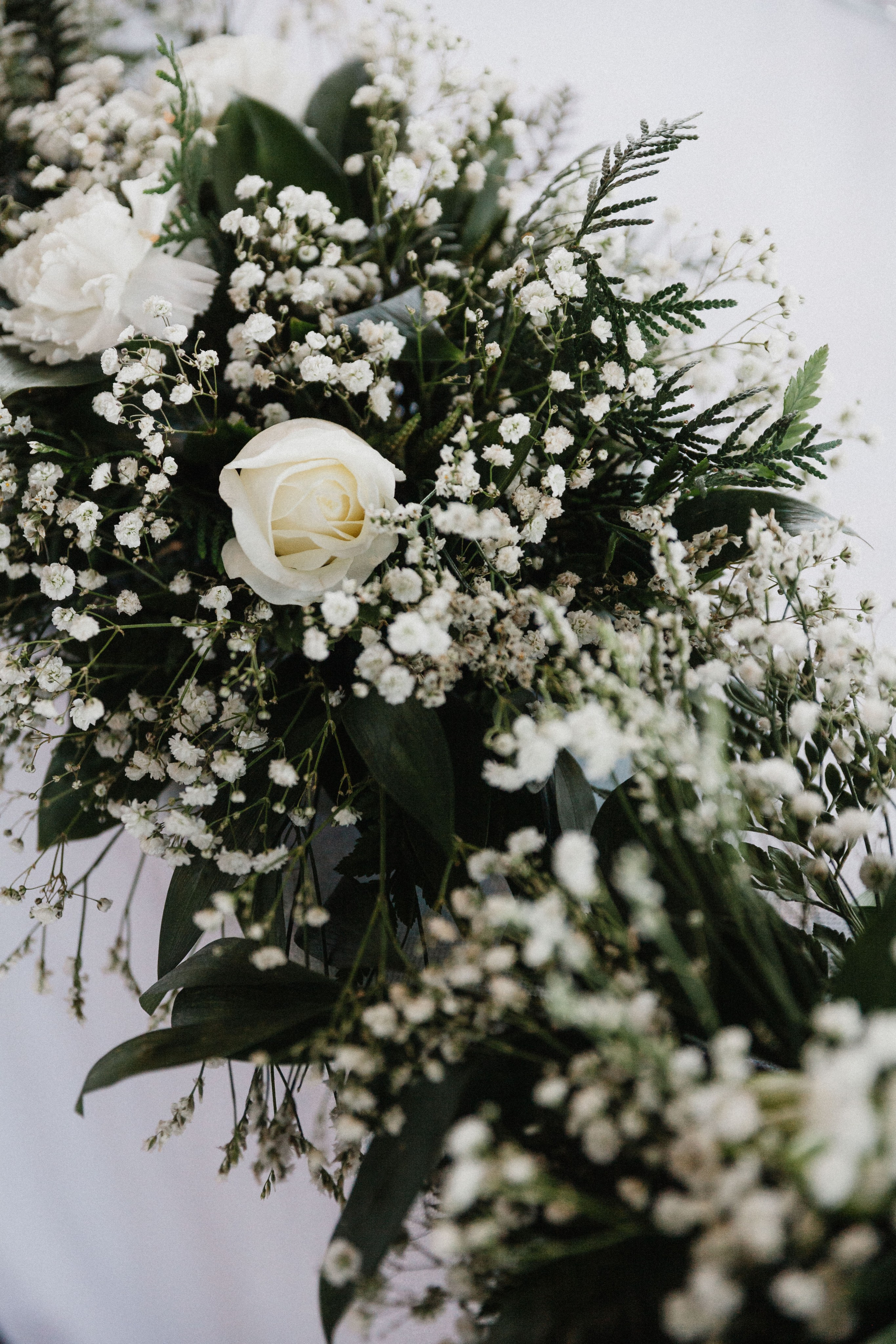 Волгины. Фотограф ЕКБ