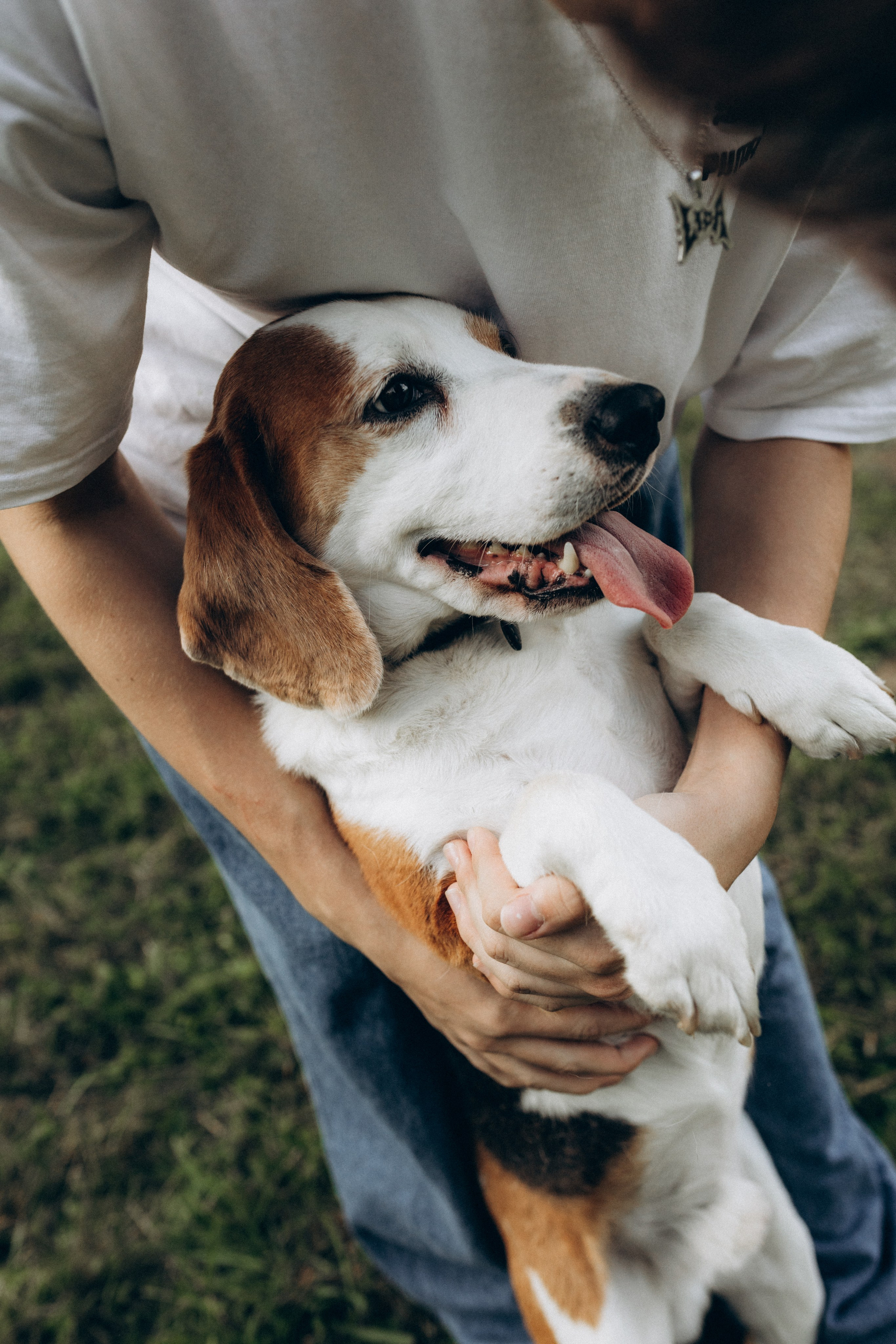 Наташа, Андрей, Эмиль, Стас, Ярослав и Арчи. Фотограф НОГИНСК, Москва, Анастасия Белая