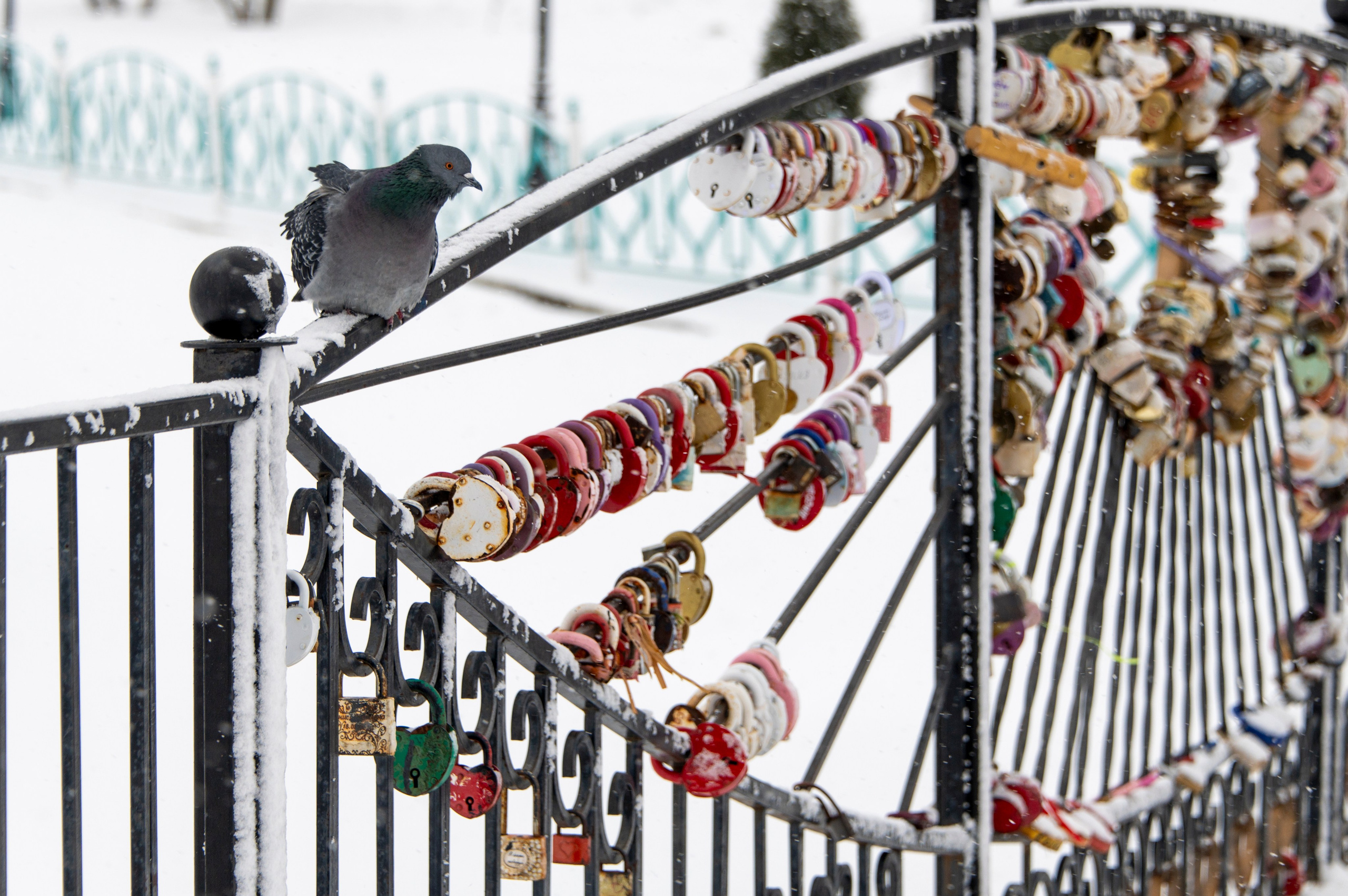 Саранск. Январь 2024. Фотограф Роман Адлер