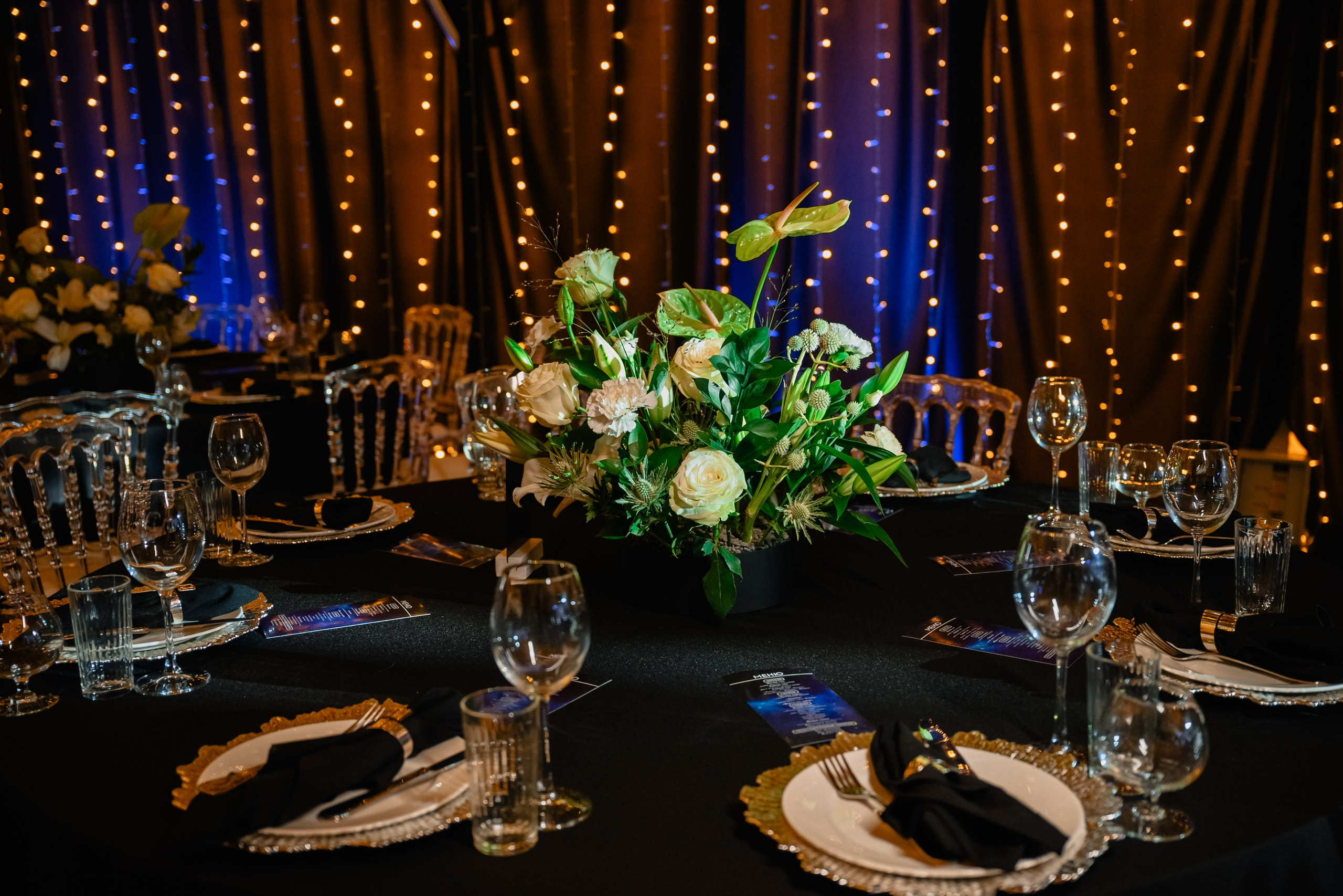 Корпоратив в честь день рождения компании. Организатор Романова Любовь