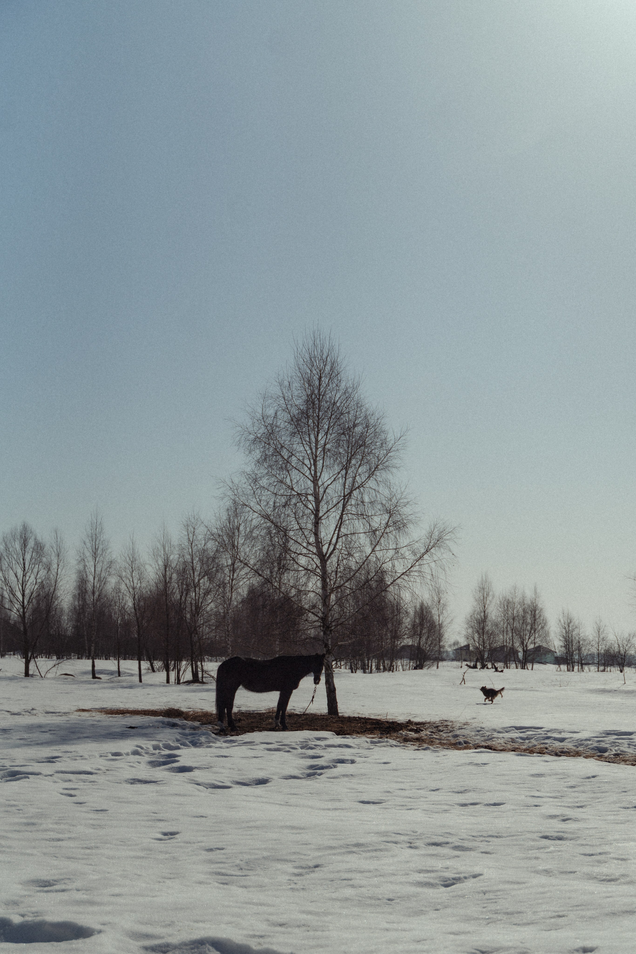 Дарья. FotoTanya. Раменское/Жуковский/Бронницы