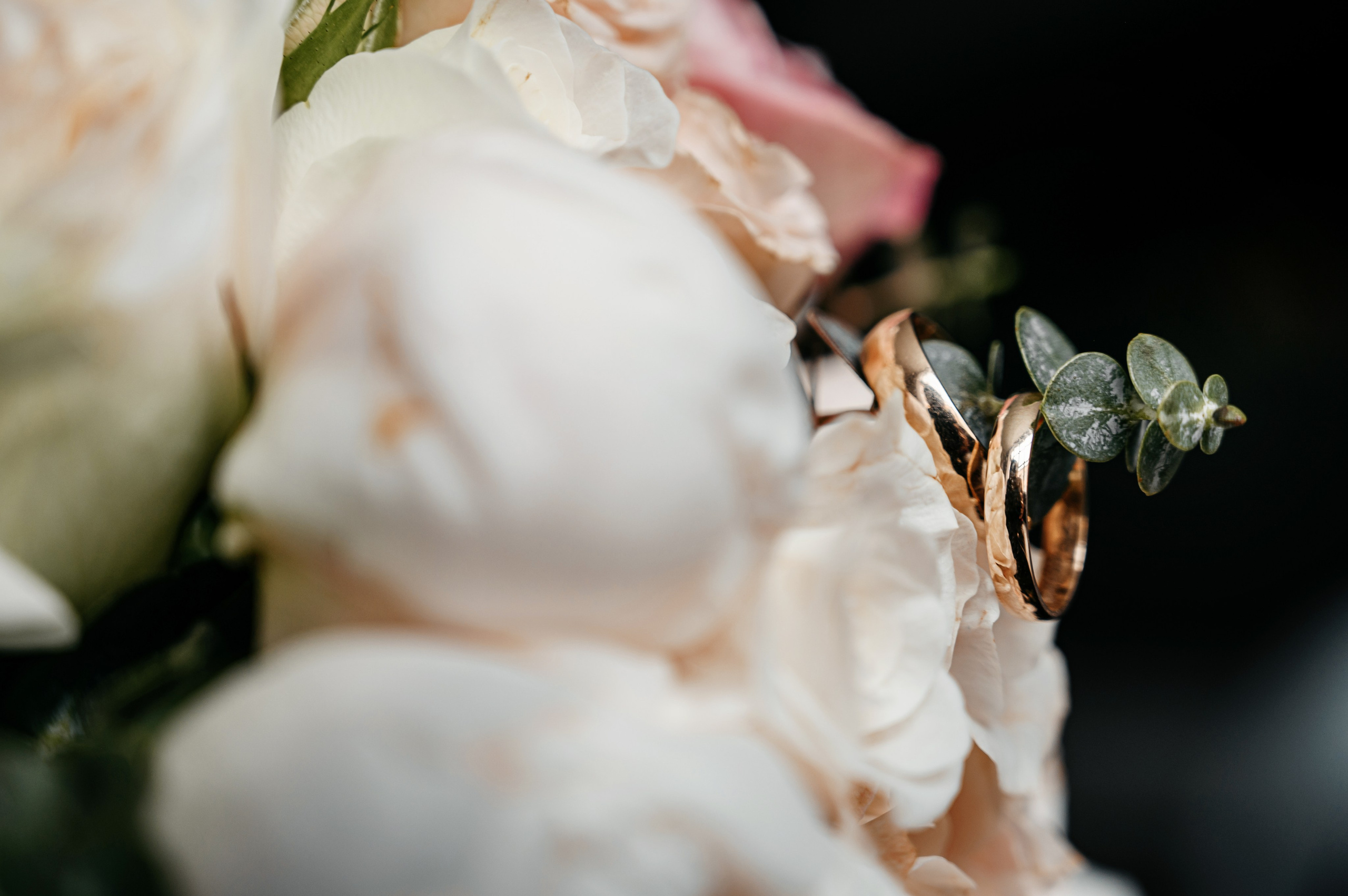 Николай Елизавета. Фотограф Владивосток. Игорь Кирсанов