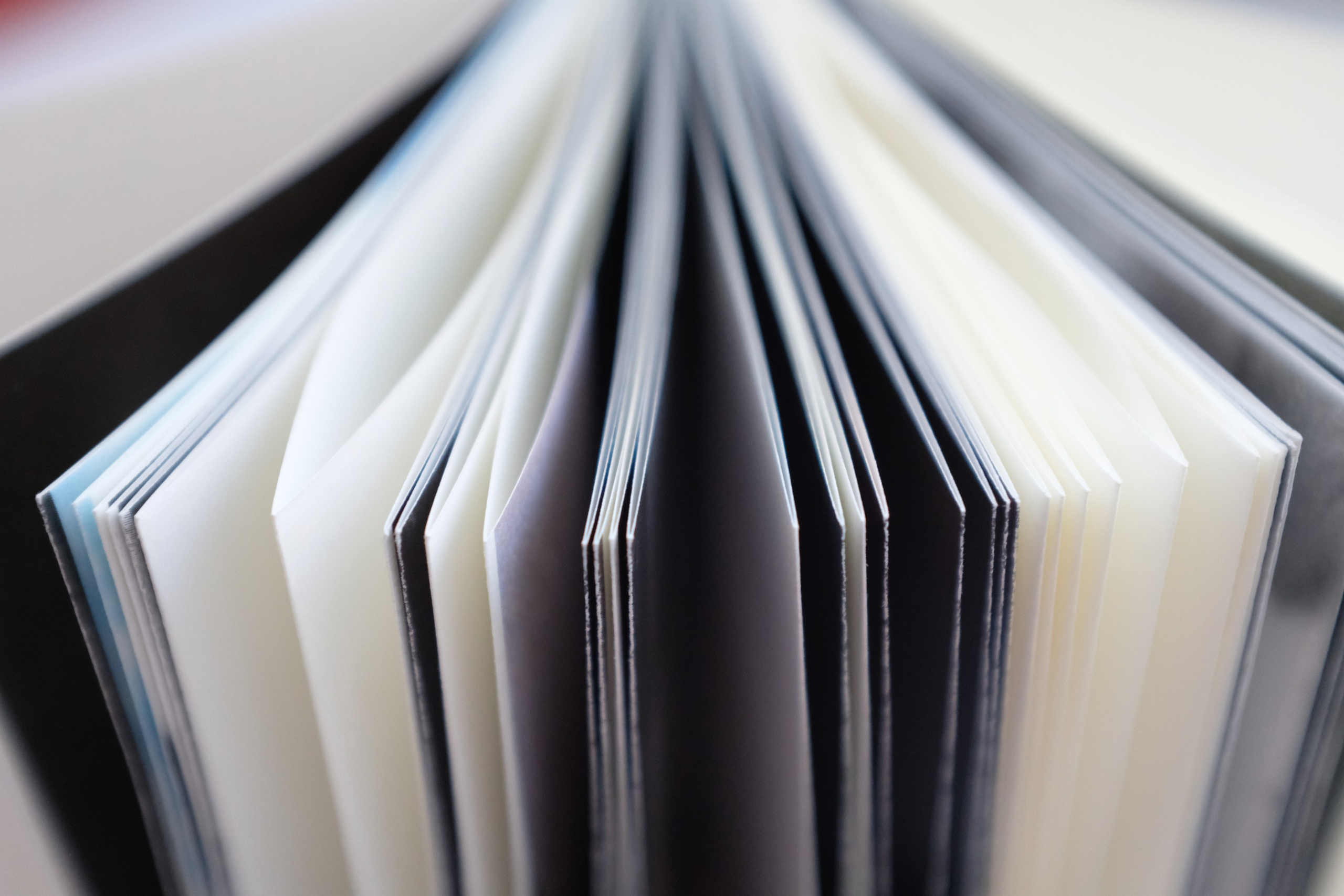 Липкий пол [книга]. Аня белка — художница и фотограф