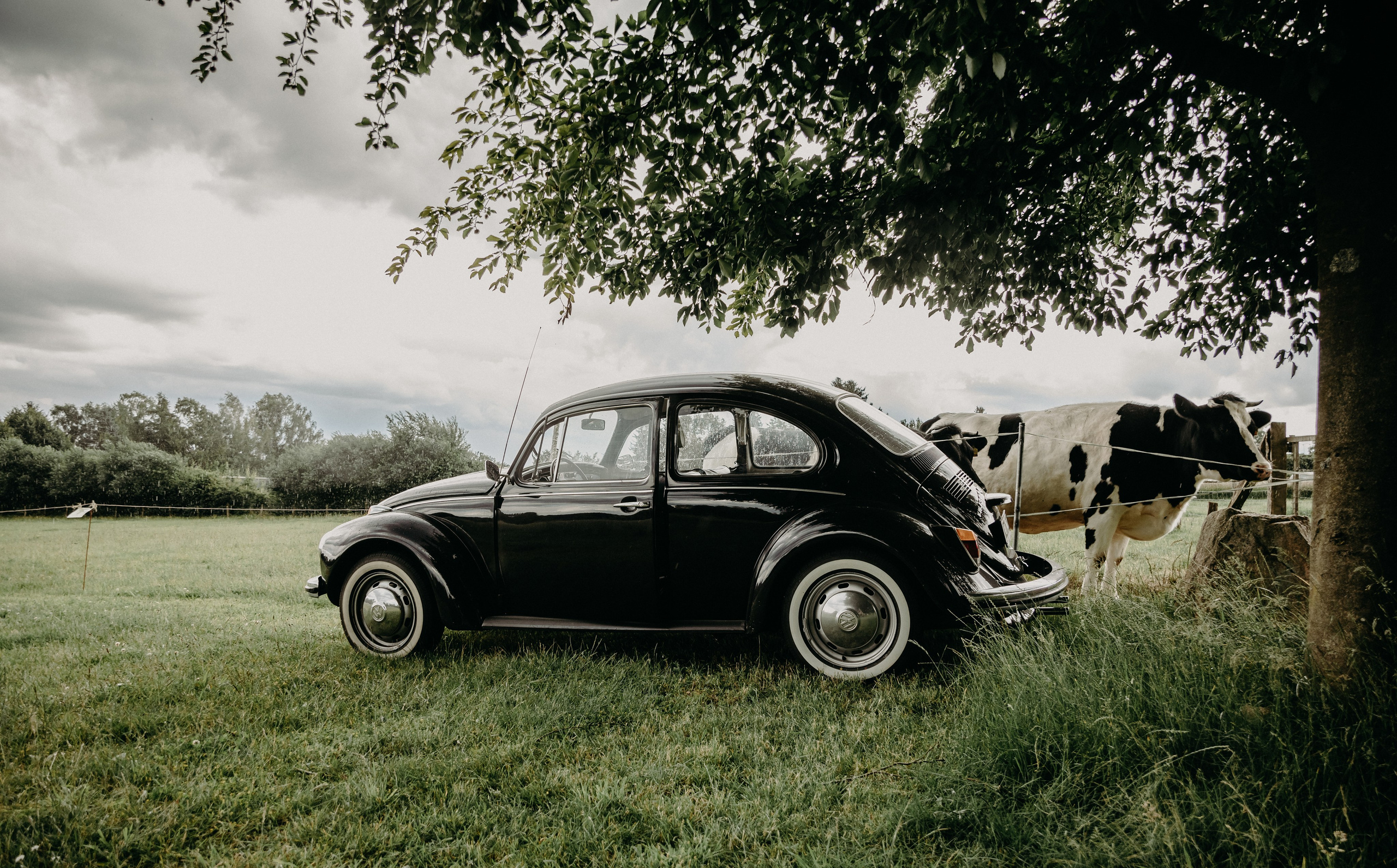 CARS. NE Cinema — backstage and reportage photography in cinema, music, Automotive and sport