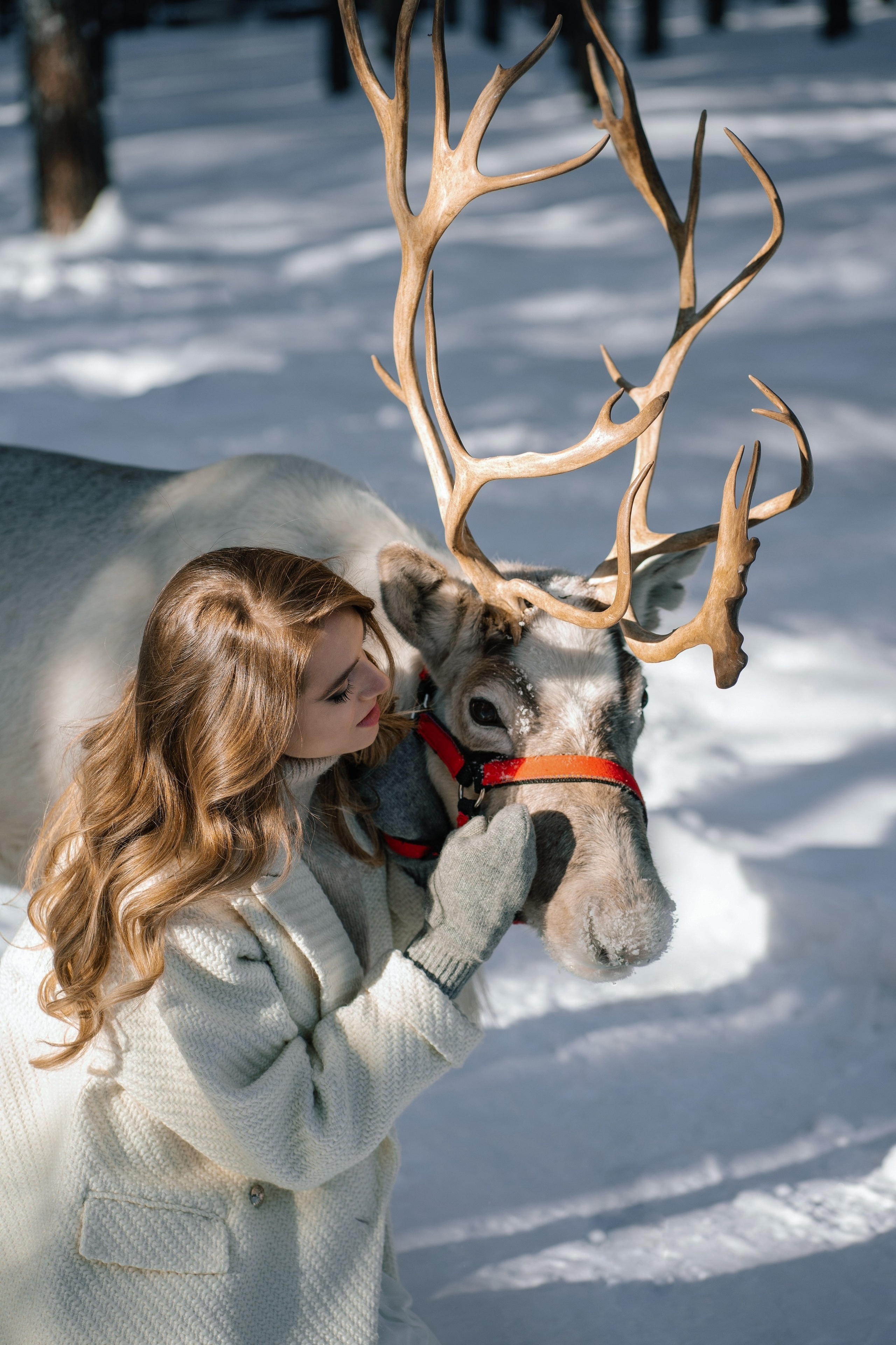 Артем & Кристина. Свадебный фотограф в Санкт-Петербурге — Евгения Лютоева