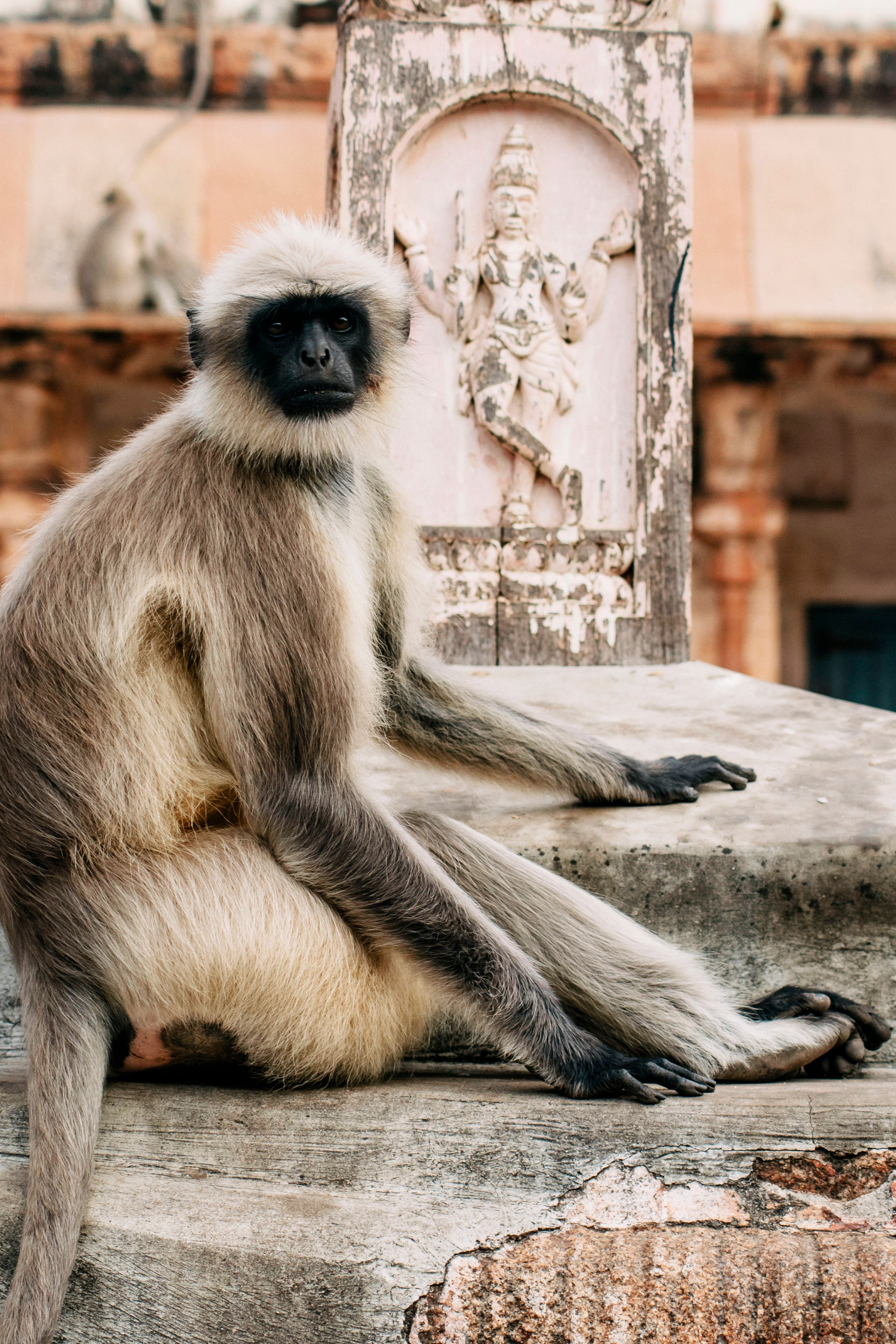 Hampi street. Iraogo