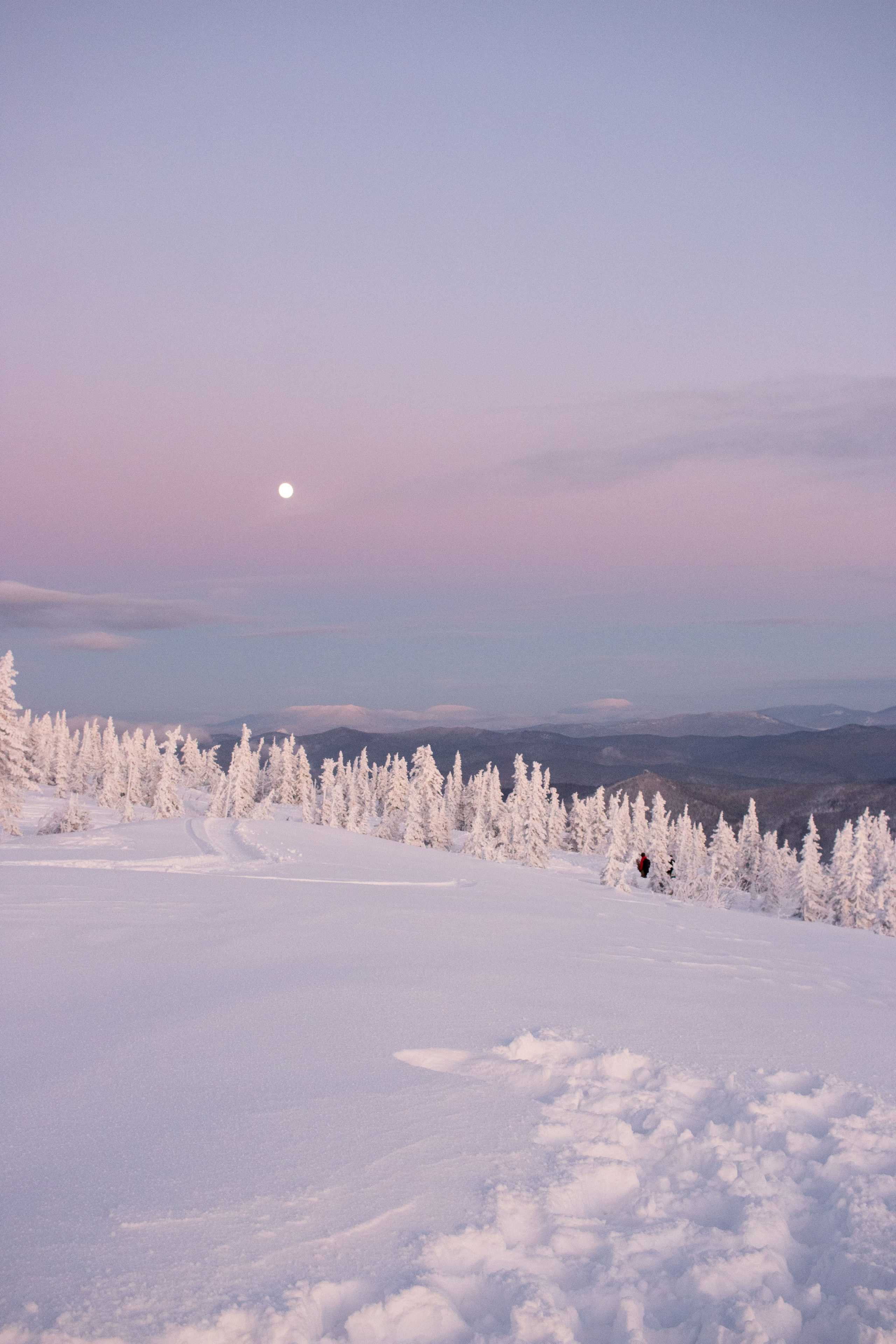 Татьяна и Иван. Свадебный и семейный фотограф в Новокузнецке Иван Иванов