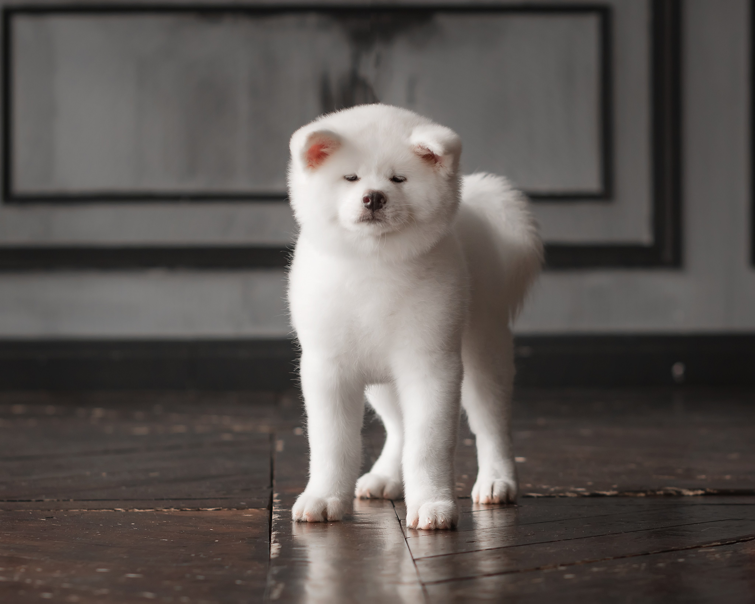 Предыдущие пометы. Алена Попова — фотограф в Хабаровске