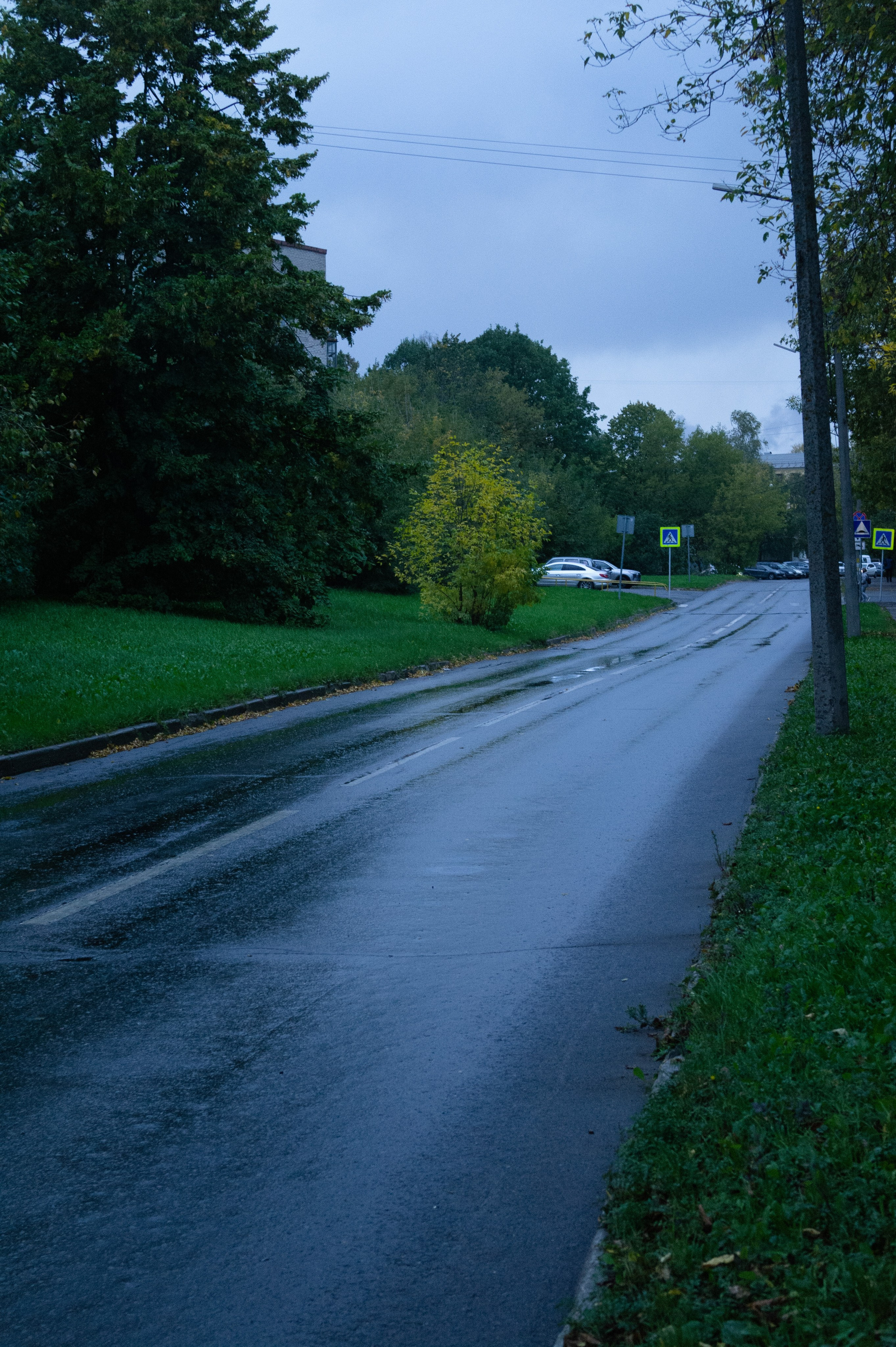 Сентябрь 2025. Den Mirov — Фотограф, Музыкант