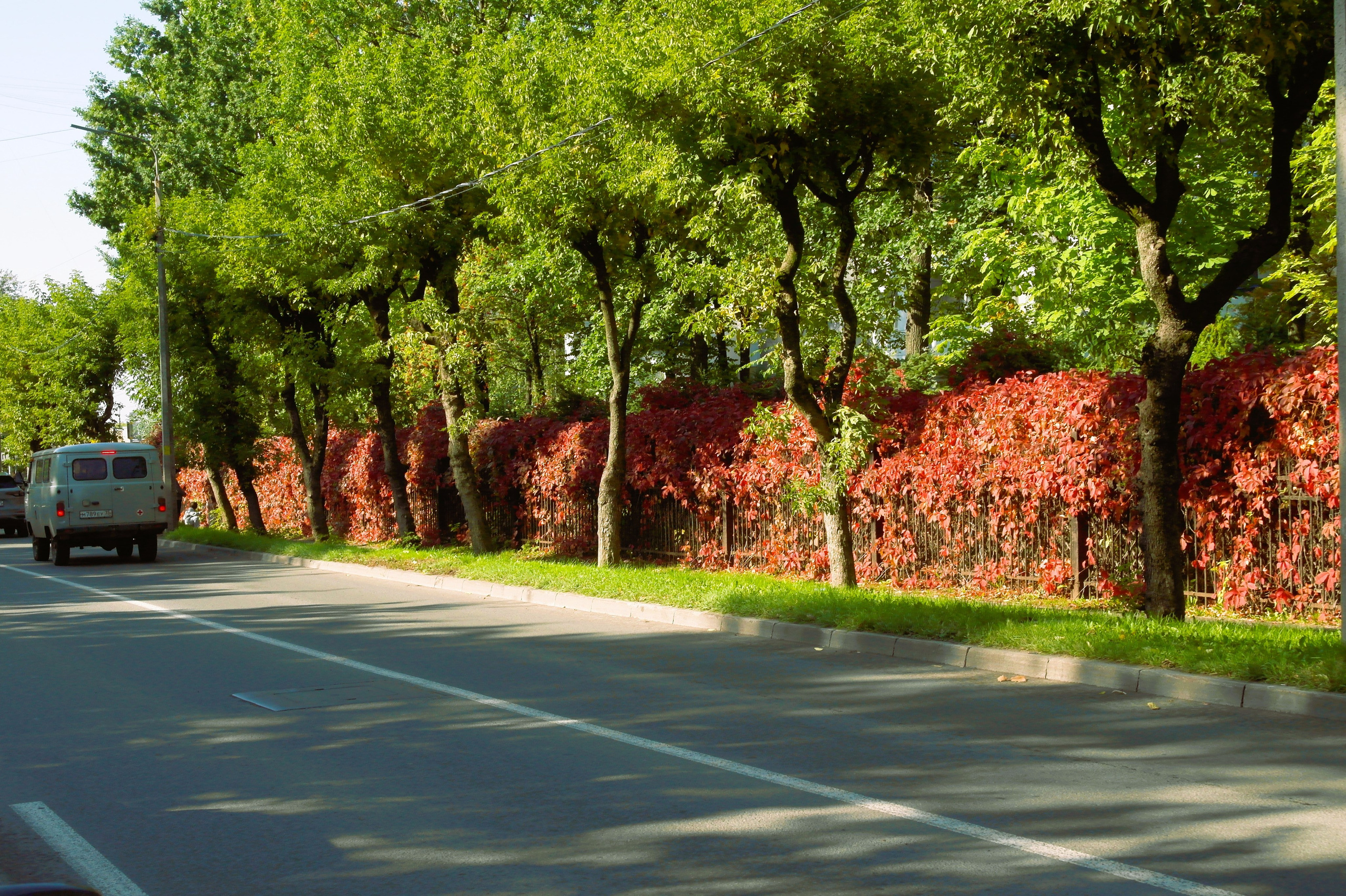 Сентябрь 2025. Den Mirov — Фотограф, Музыкант