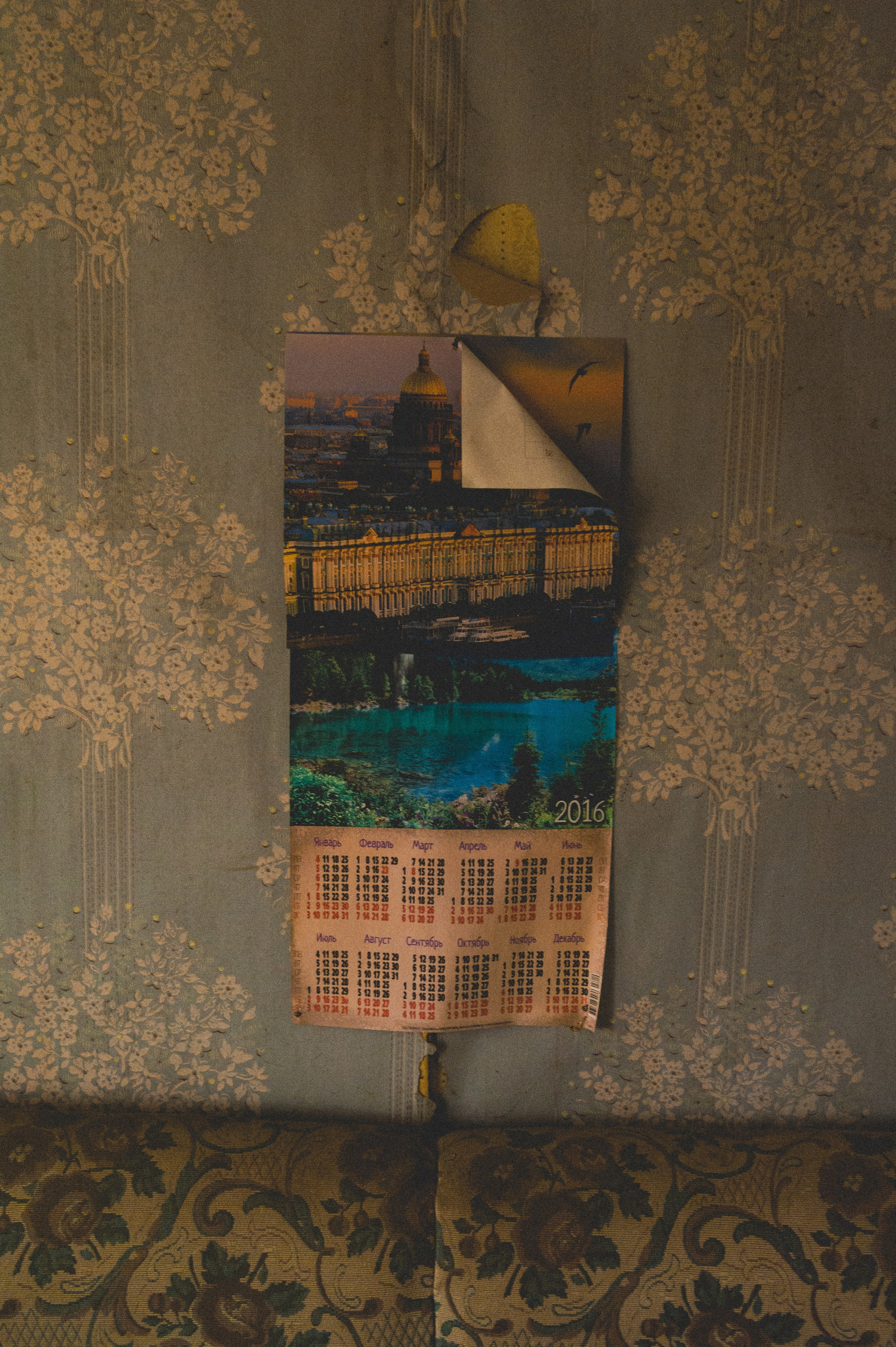 Октябрь 2025. Den Mirov — Фотограф, Музыкант