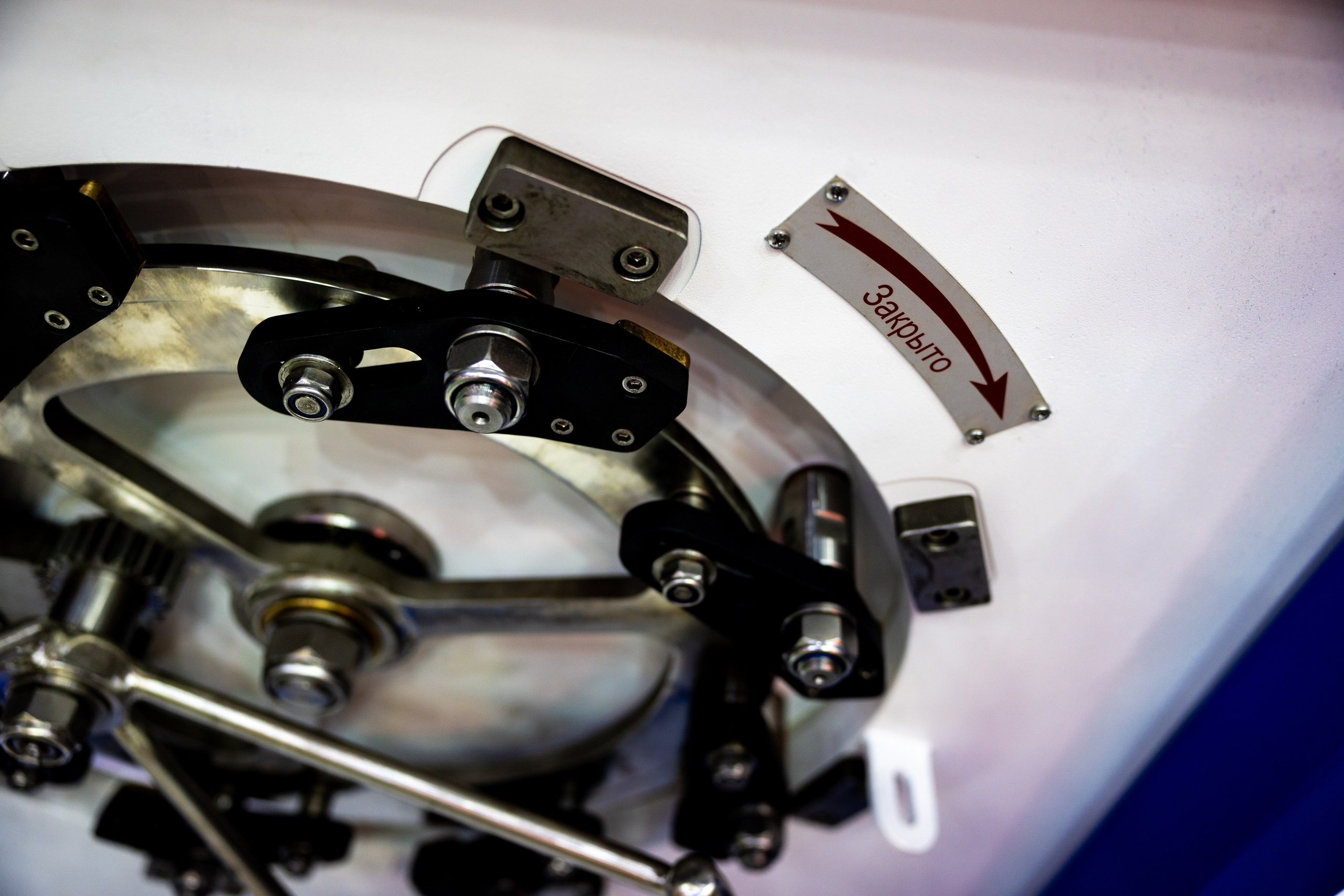 Выставка НЕВА 2025. Репортажный фотограф Санкт-Петербург | Роман Карбышев