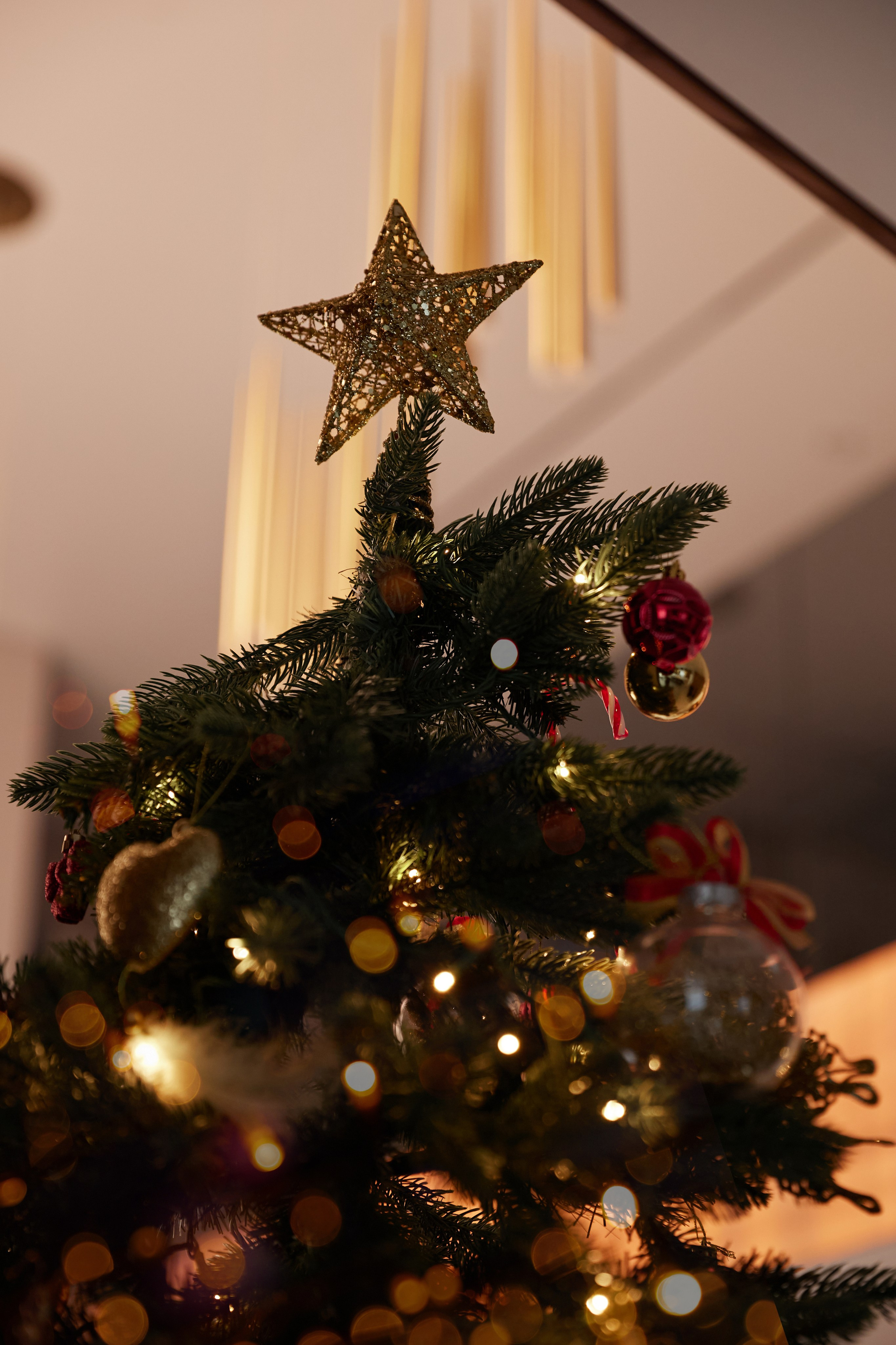 Марина. Фотограф женского портрета, беременности и материнства Харькова Елена