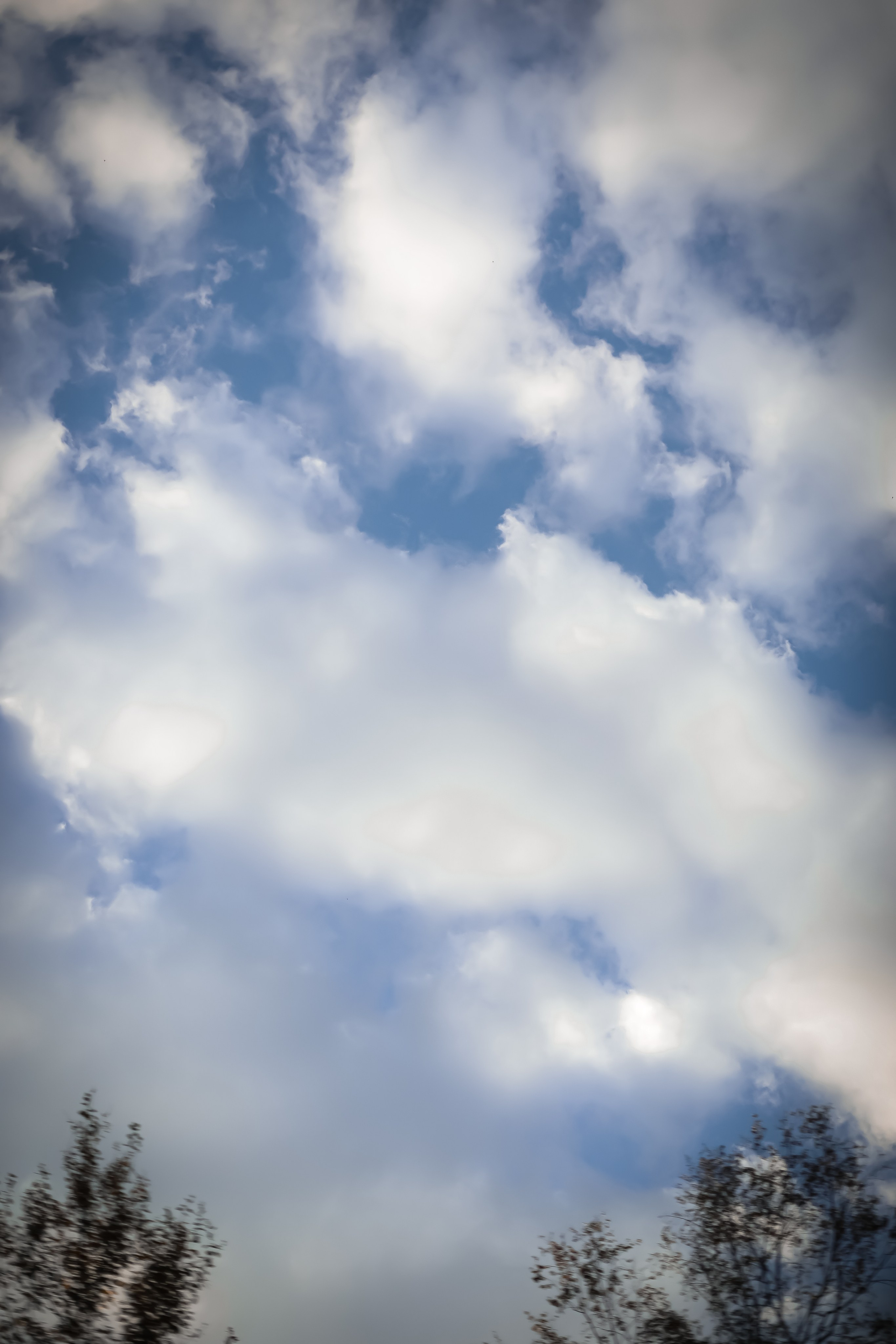 Елены и Антона. Фотограф г. Хабаровск. Семейные и индивидуальные съёмки