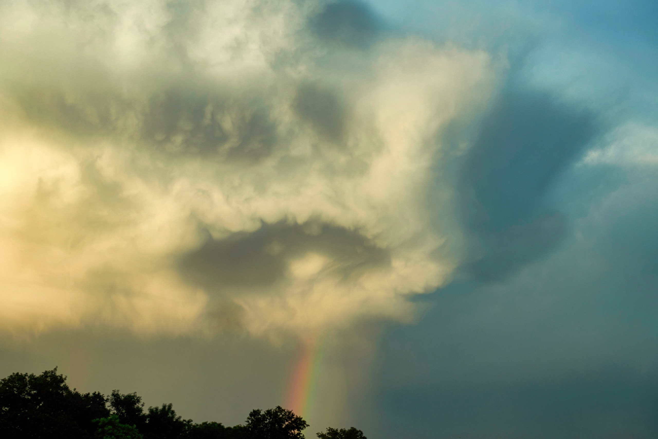 Наша мать — природа. Фотограф Владимир Артамонов