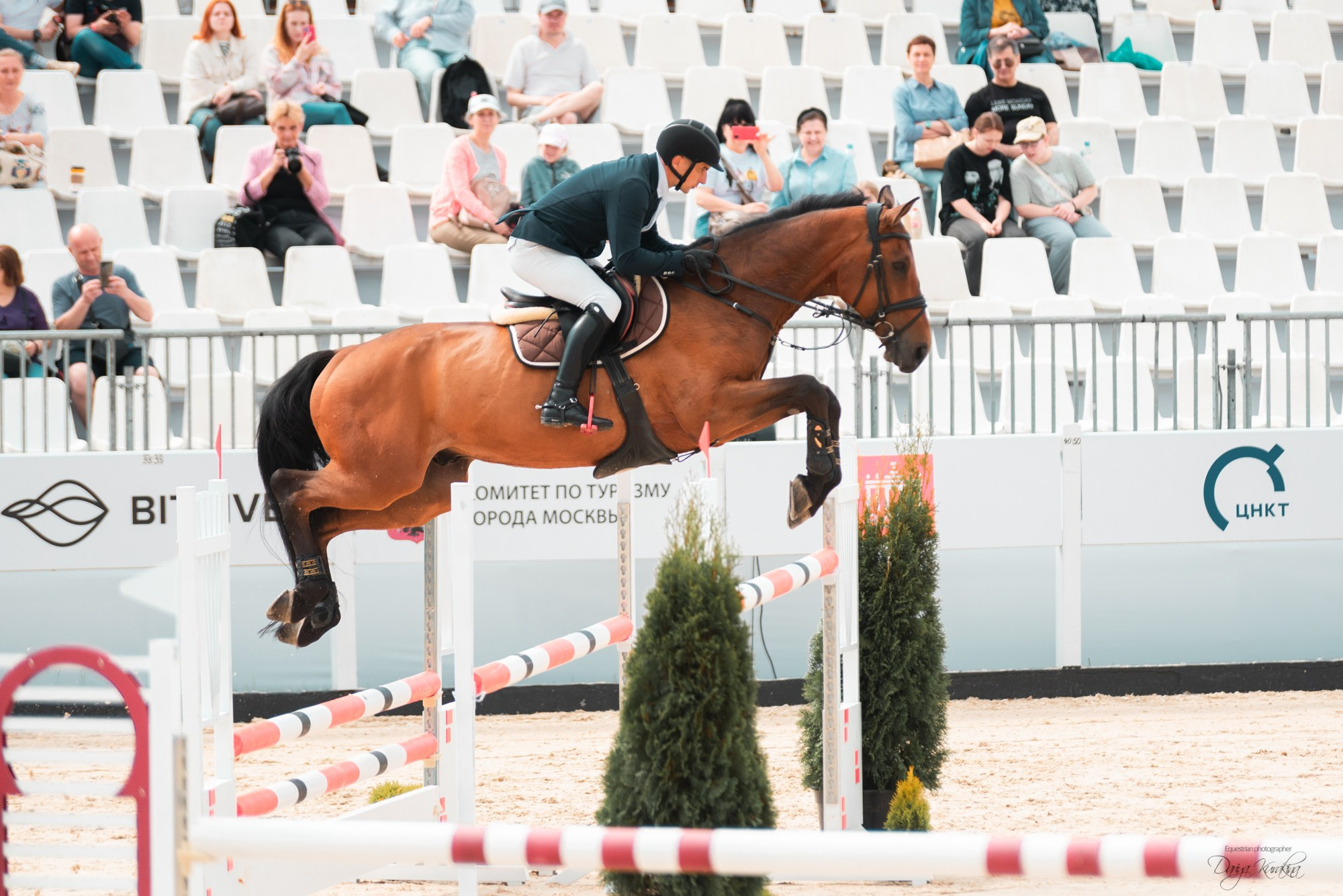 BITRIVER CUP 2023. Конный фотограф Куракина Дарья • Фотосессии с лошадьми