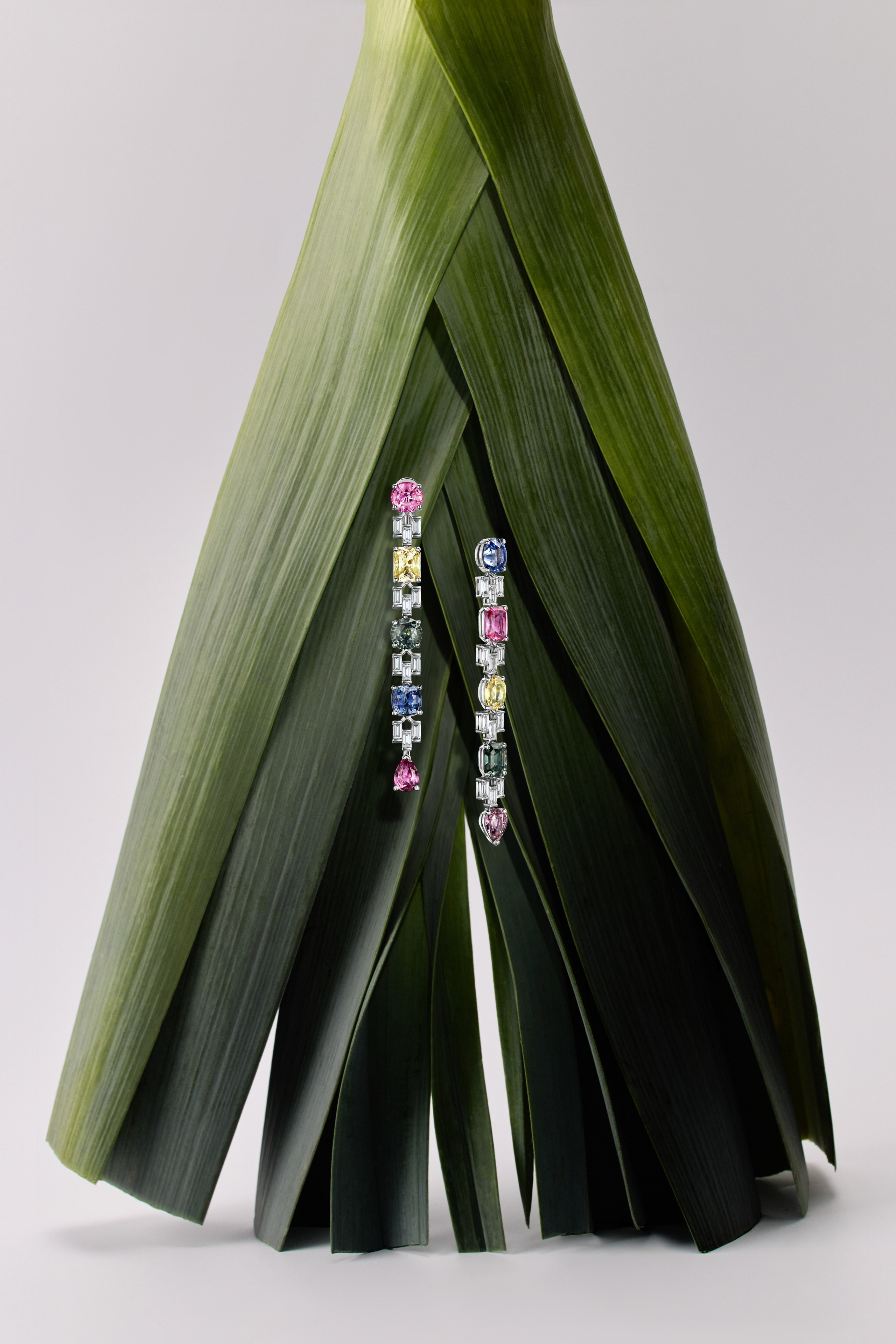 11 GEMS. Асель Рембекова