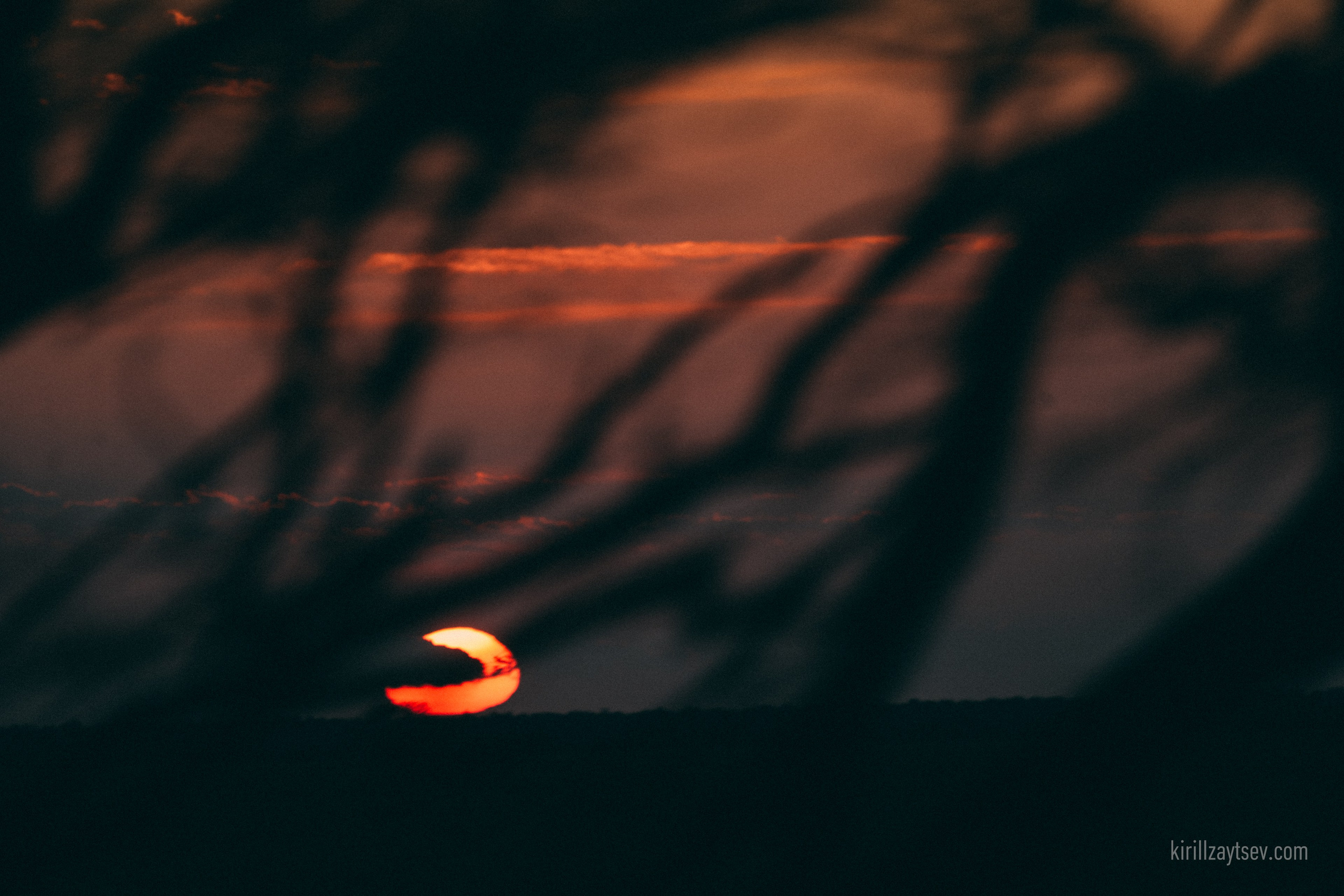 Жизнь. Профессиональный фотограф Кирилл Зайцев