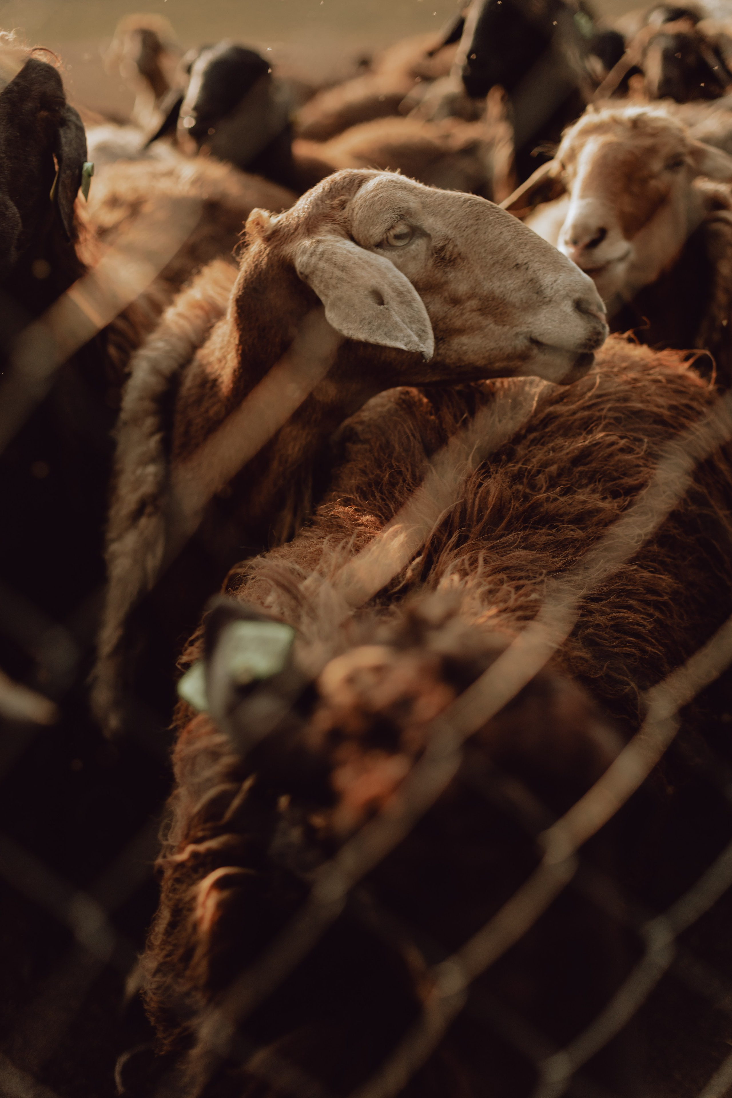 Наташа. Главная