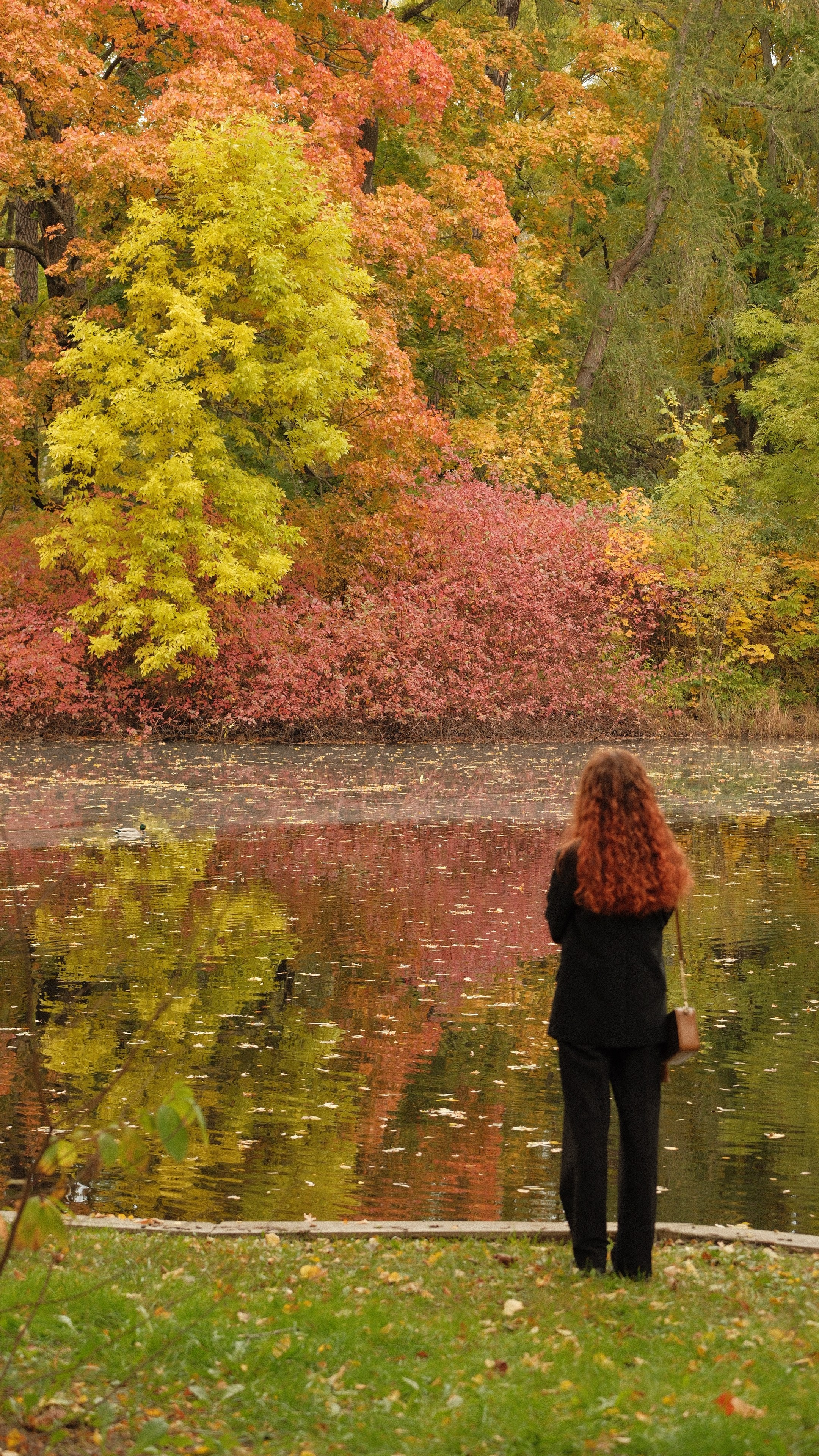 Фотосъемка. Владимир Репин Фотограф Санкт-Петербург