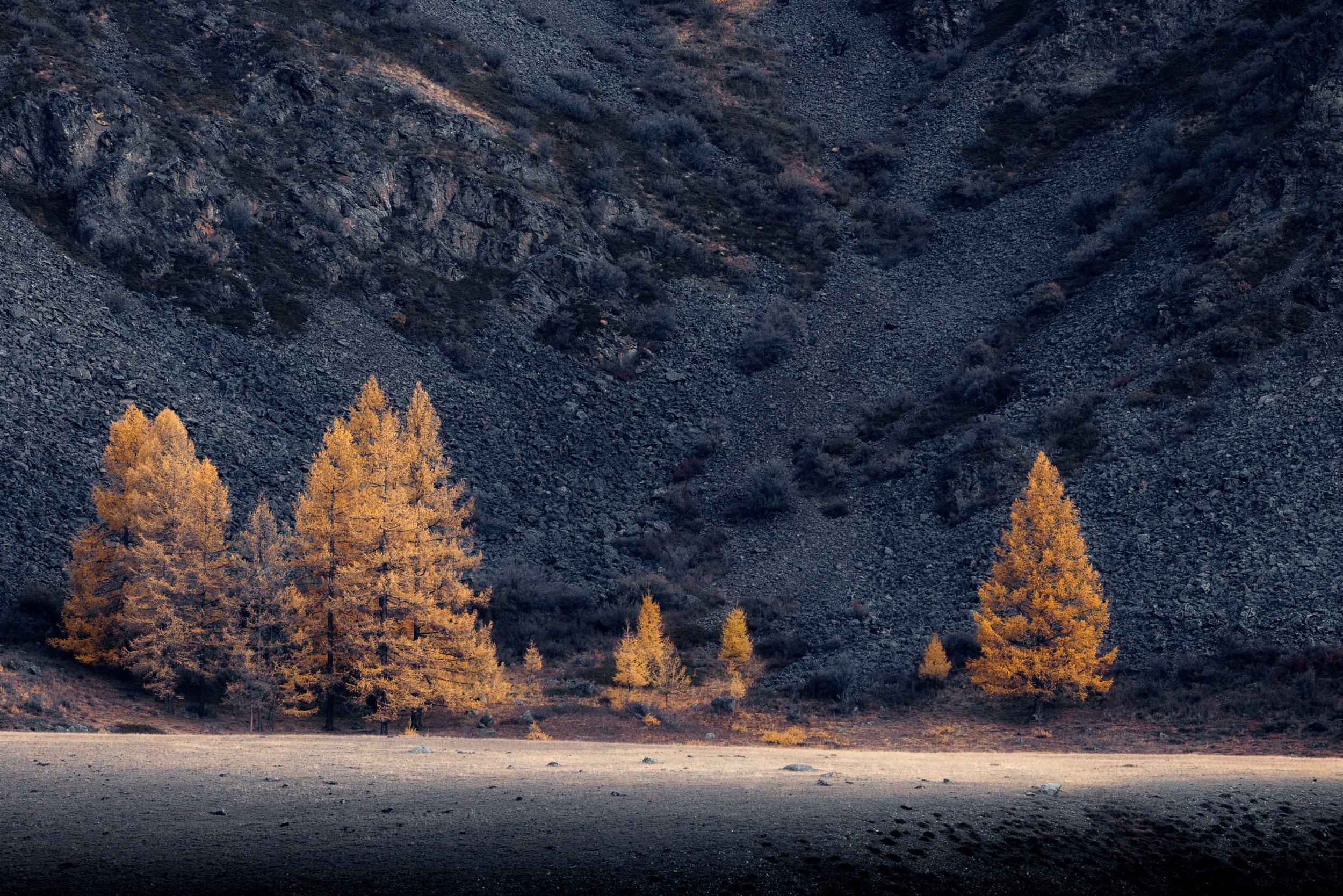 Пейзаж • Landscape. Елена Ивановой • Профессиональный фотограф