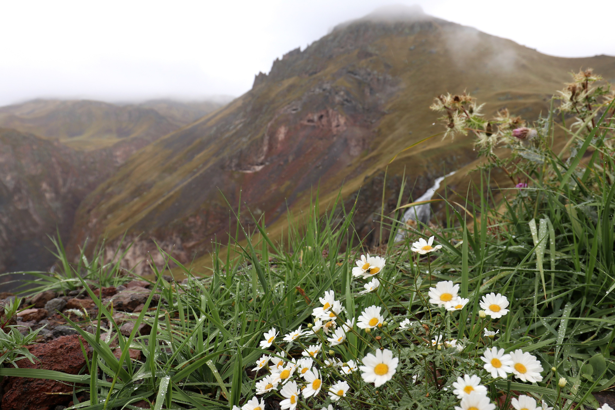 Приэльбрусье. Сентябрь 2024. Путешественник-фотограф из Санкт-Петербурга Татьяна Свистулина