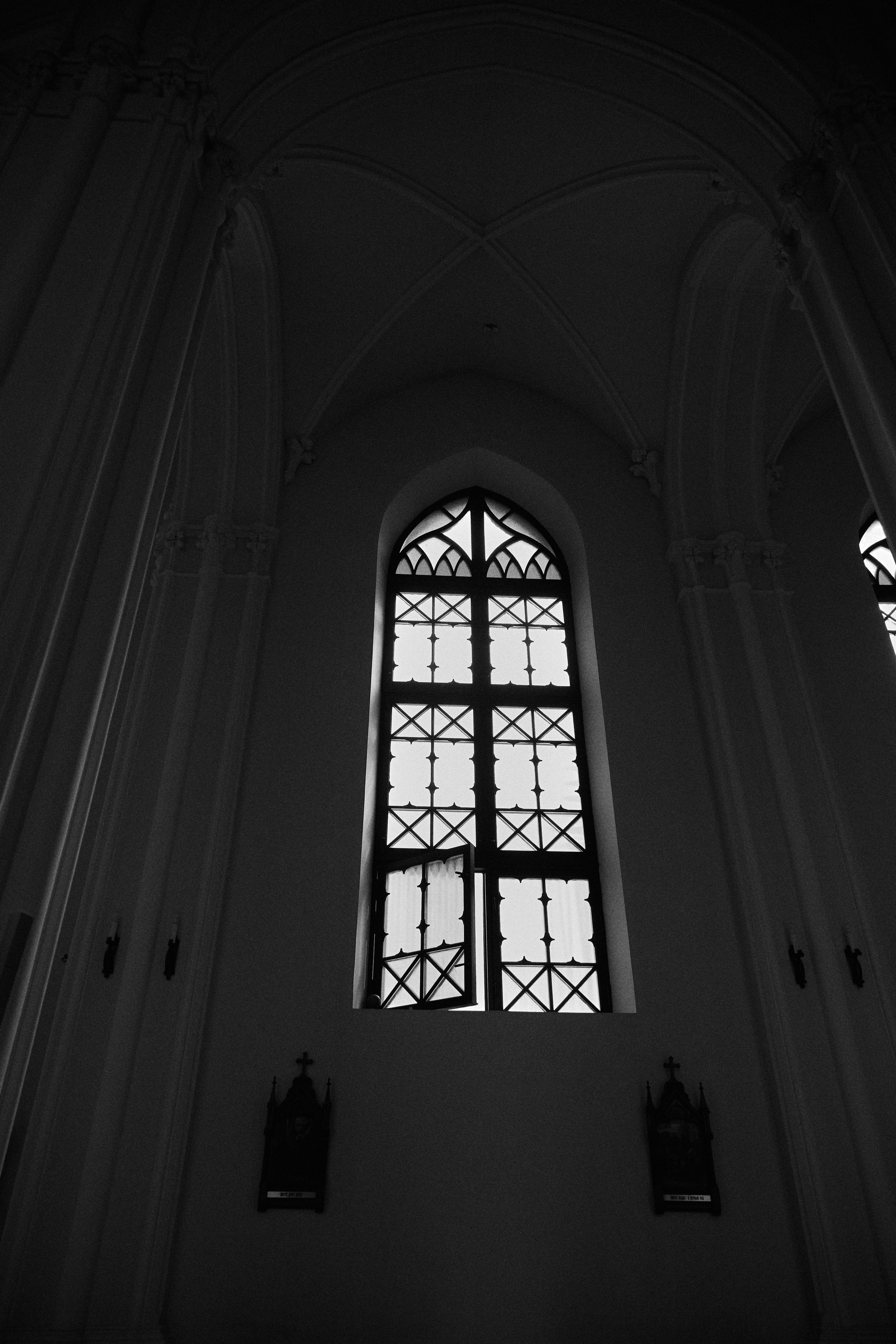 Только ты и я. Фотограф Елена Краснопевцева