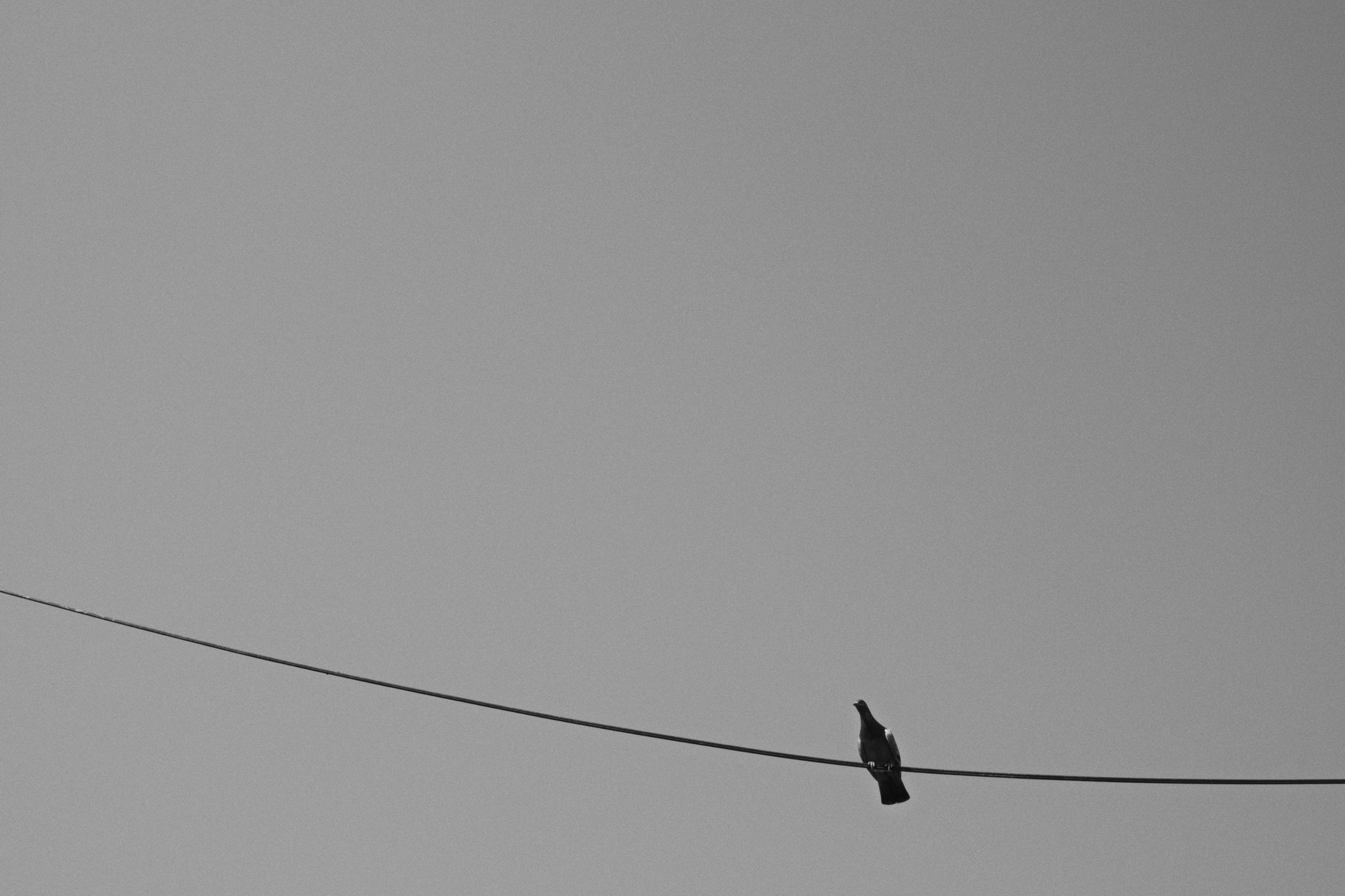 Büyükada х Heybeliada, Istanbul / Türkey SS25. Фотограф Юрин Евгений