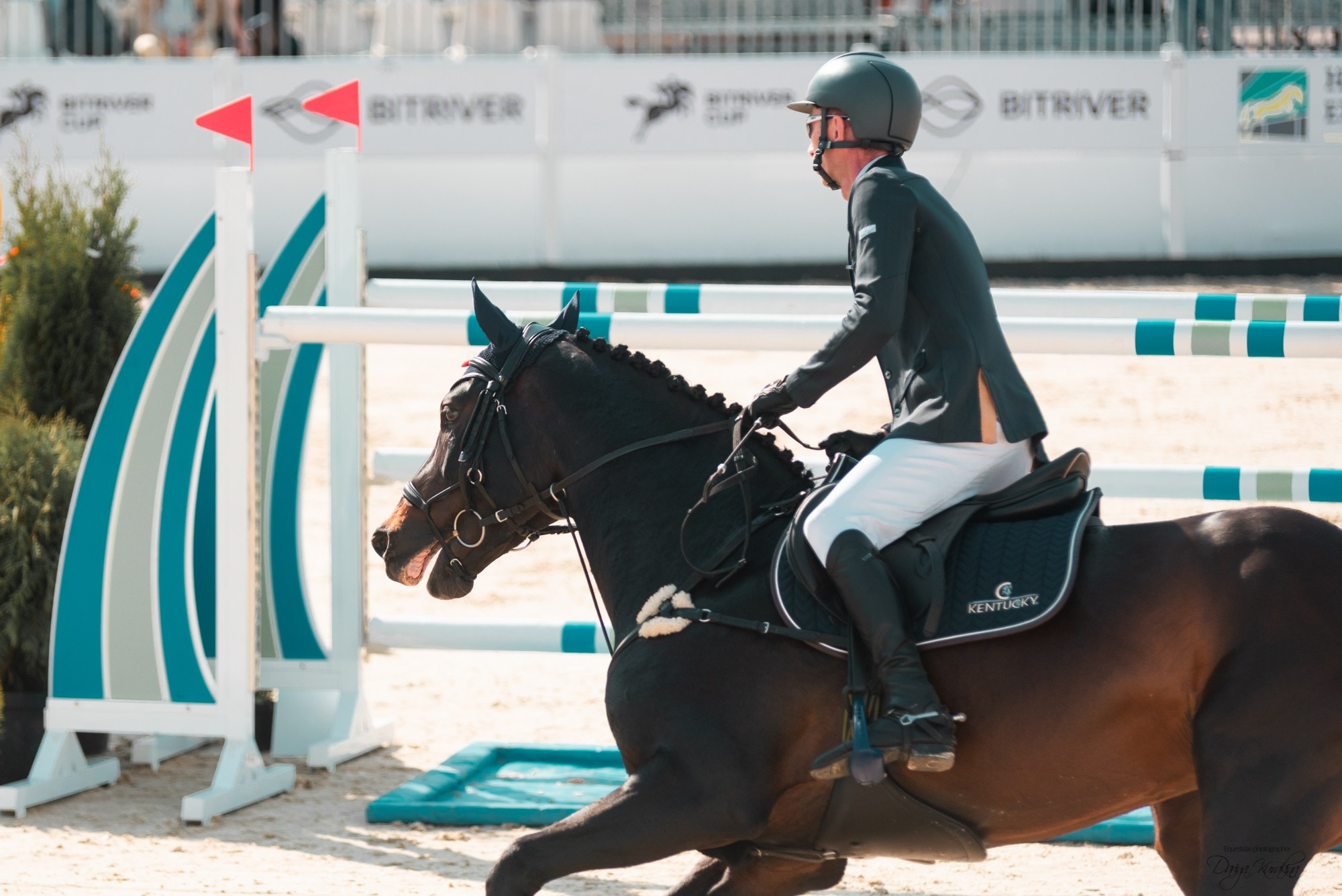 BITRIVER CUP 2023. Конный фотограф Куракина Дарья • Фотосессии с лошадьми