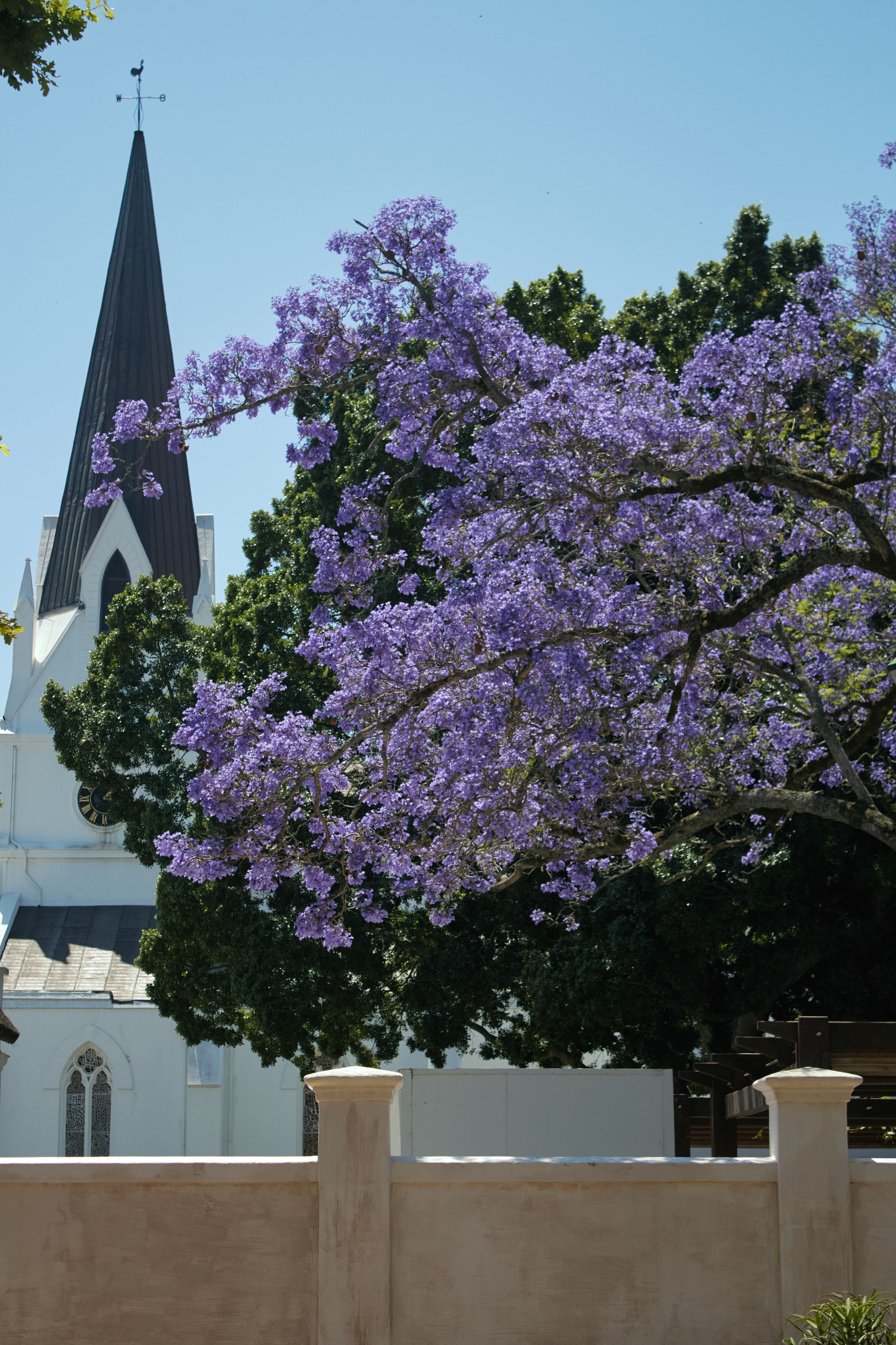 ЮАР. Профессиональный Фотограф во Владимире, в Москве и в Суздале — Полина Романычева
