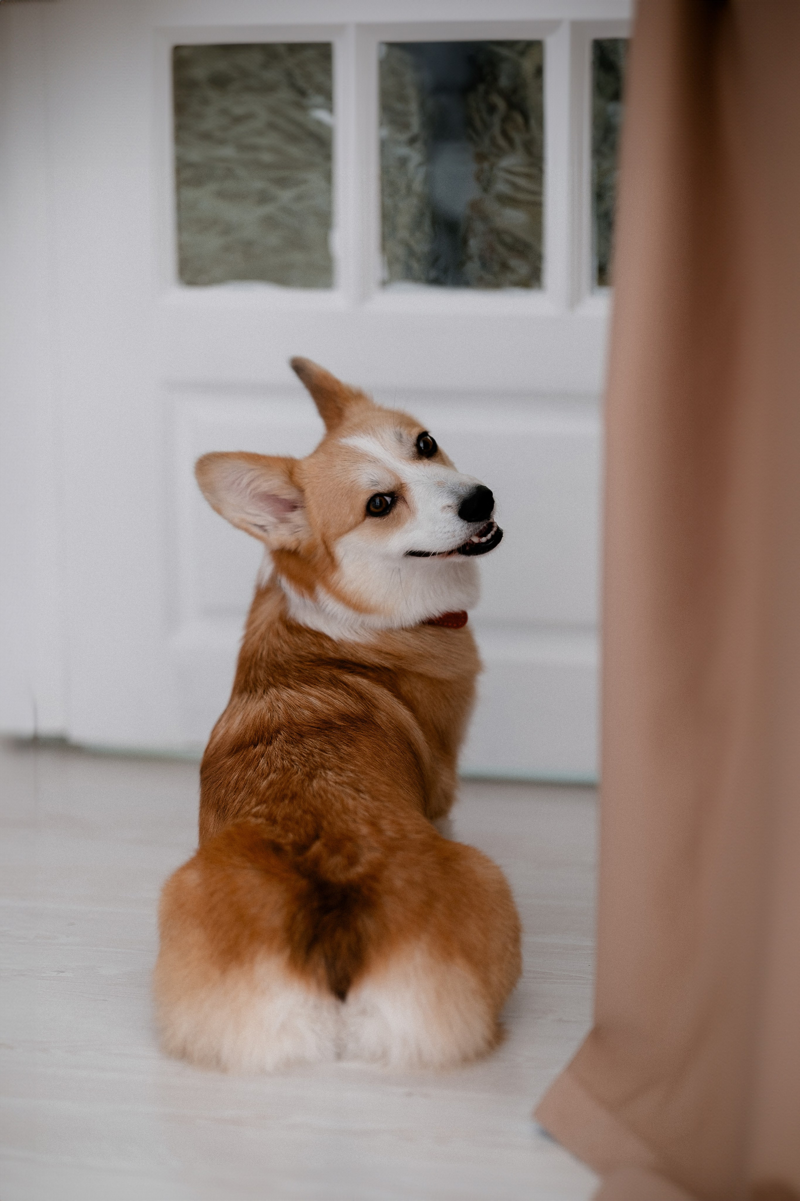Радик. Свадебный и семейный фотограф в Казани и Зеленодольске Ланочкин Илья