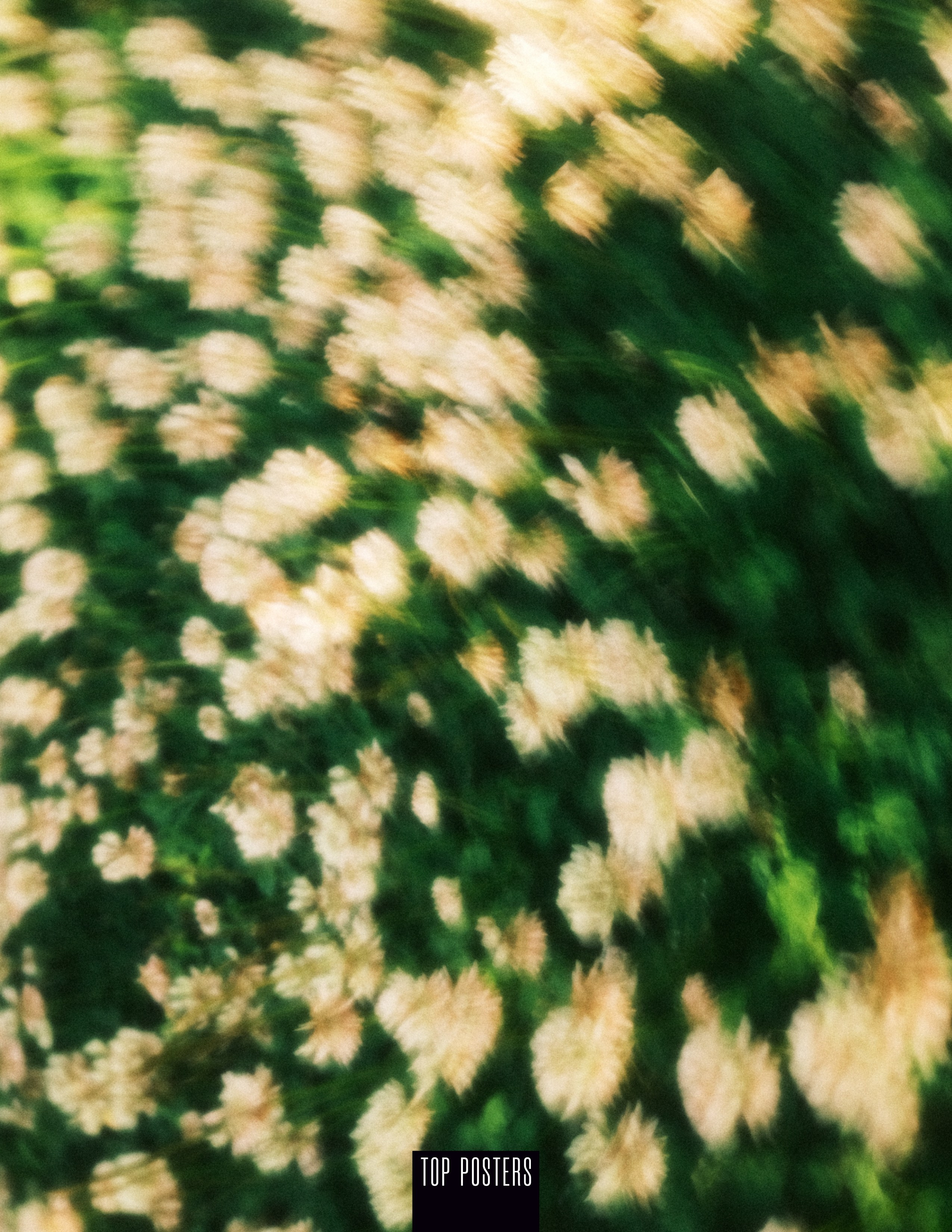 Портретный фотограф