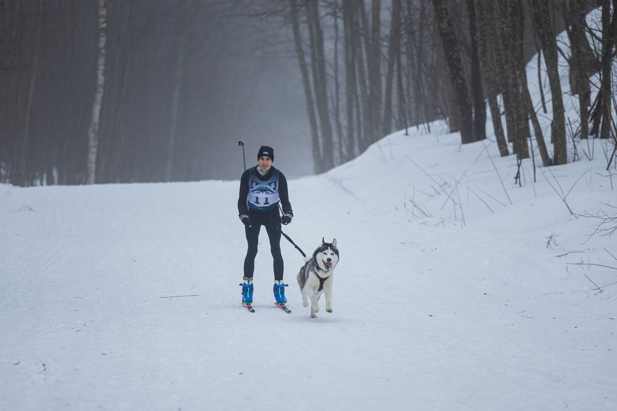 Зимний Чемпионат Санкт-Петербурга по ездовому спорту. Фотограф-анималист Анна Маринич