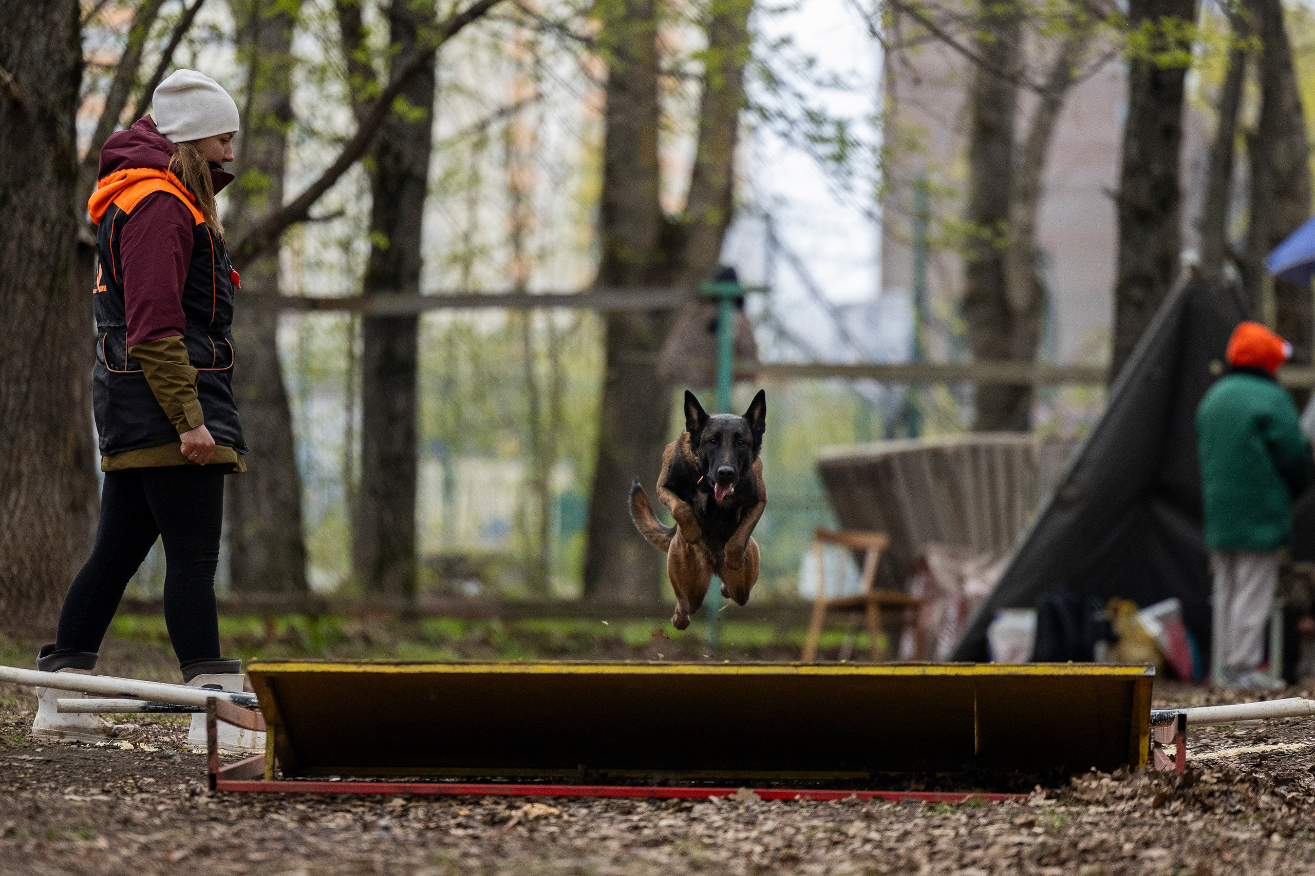 Квалификационные состязания по мондьорингу г. Вологда 11.05.24. Фотограф-анималист Анна Маринич