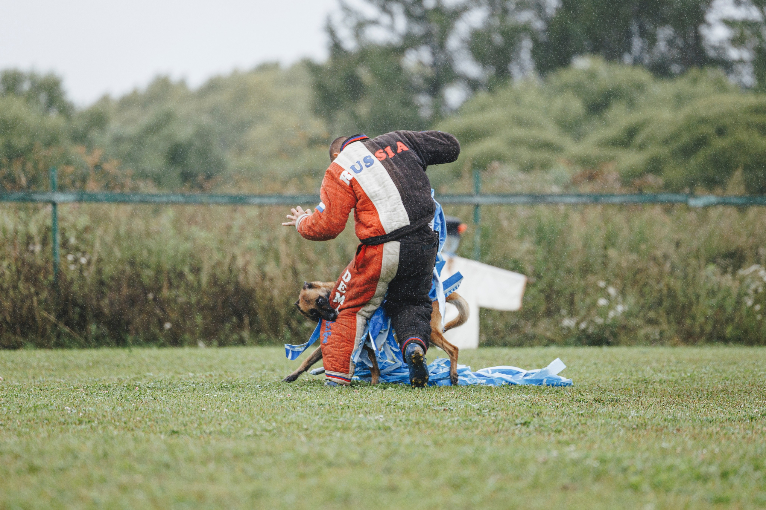 08.08.25-10.08.25 ЧР по мондьорингу г. Вологда. Фотограф-анималист Анна Маринич