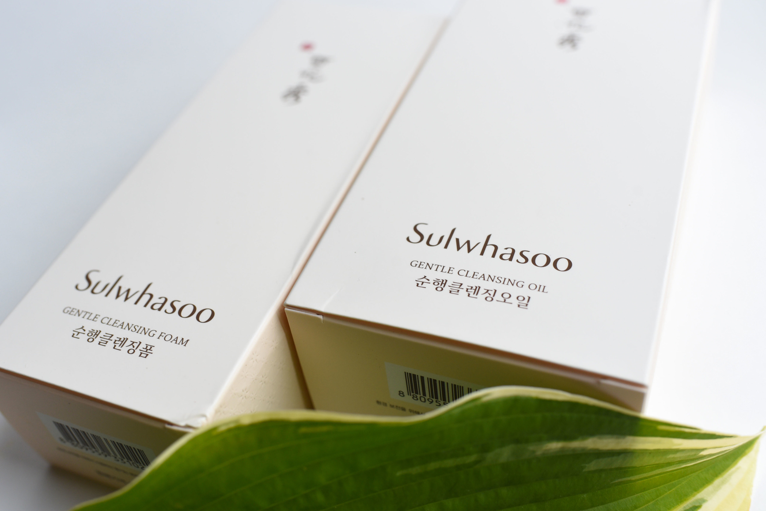 Корейская косметика. Семейный и детский фотограф во Фрязино, Ивантеевке и Щелково Матвеева