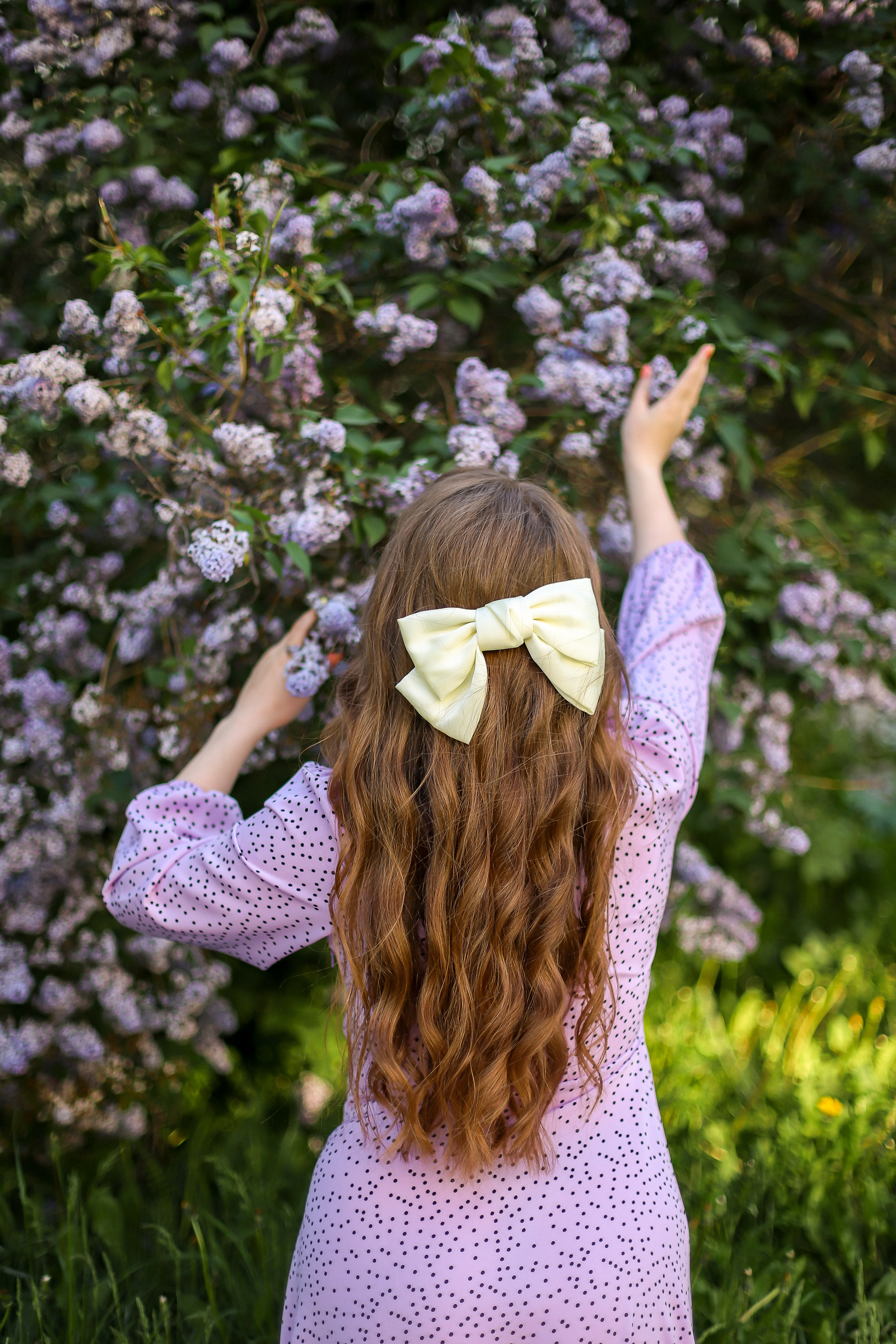 Фотограф Белград. Фотограф Белград (Сербия) Александра Дрейт