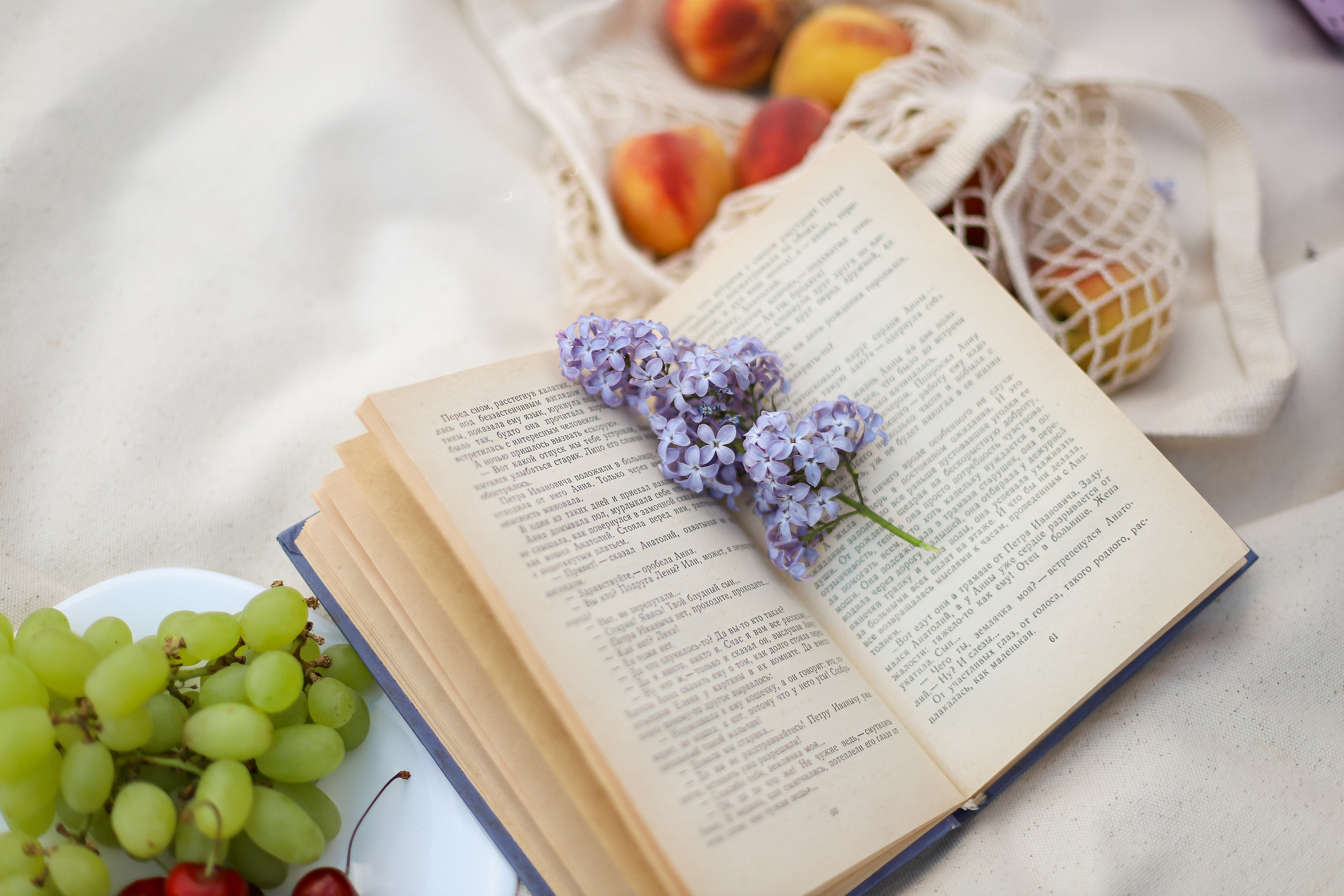 Фотограф Белград. Фотограф Белград (Сербия) Александра Дрейт