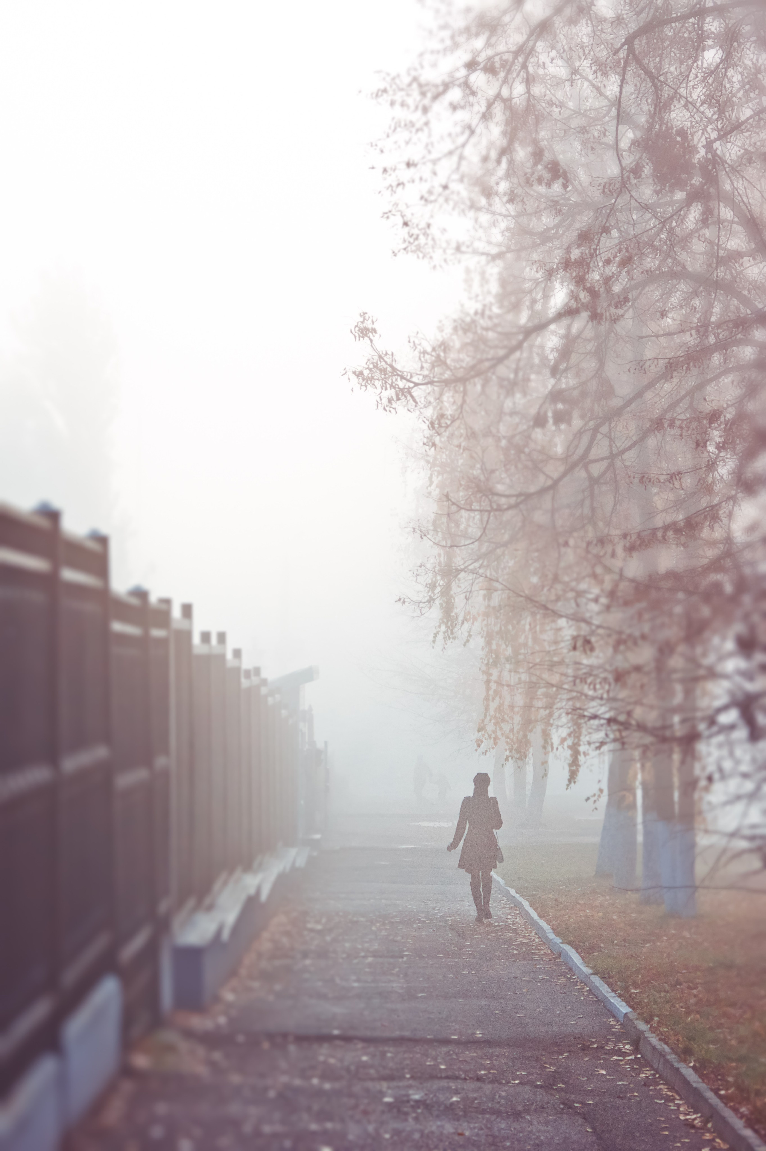 Уфа. Фотограф Шибков Константин