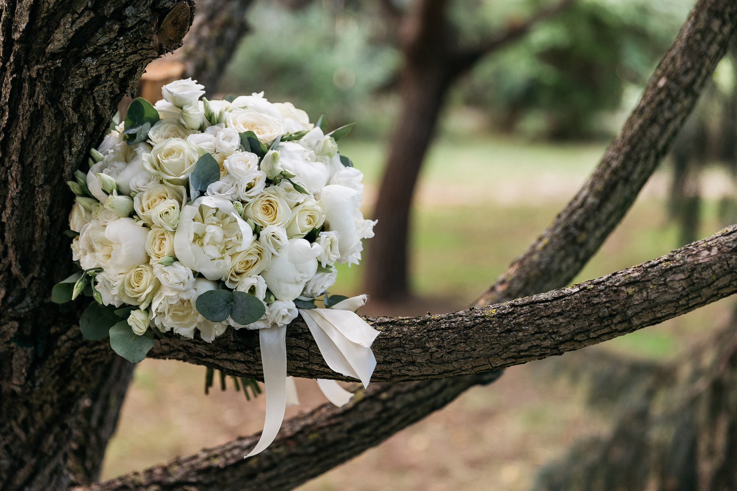 Катя и Данила. Свадебный и семейный фотограф Раменское Жуковский  Александр Зимин