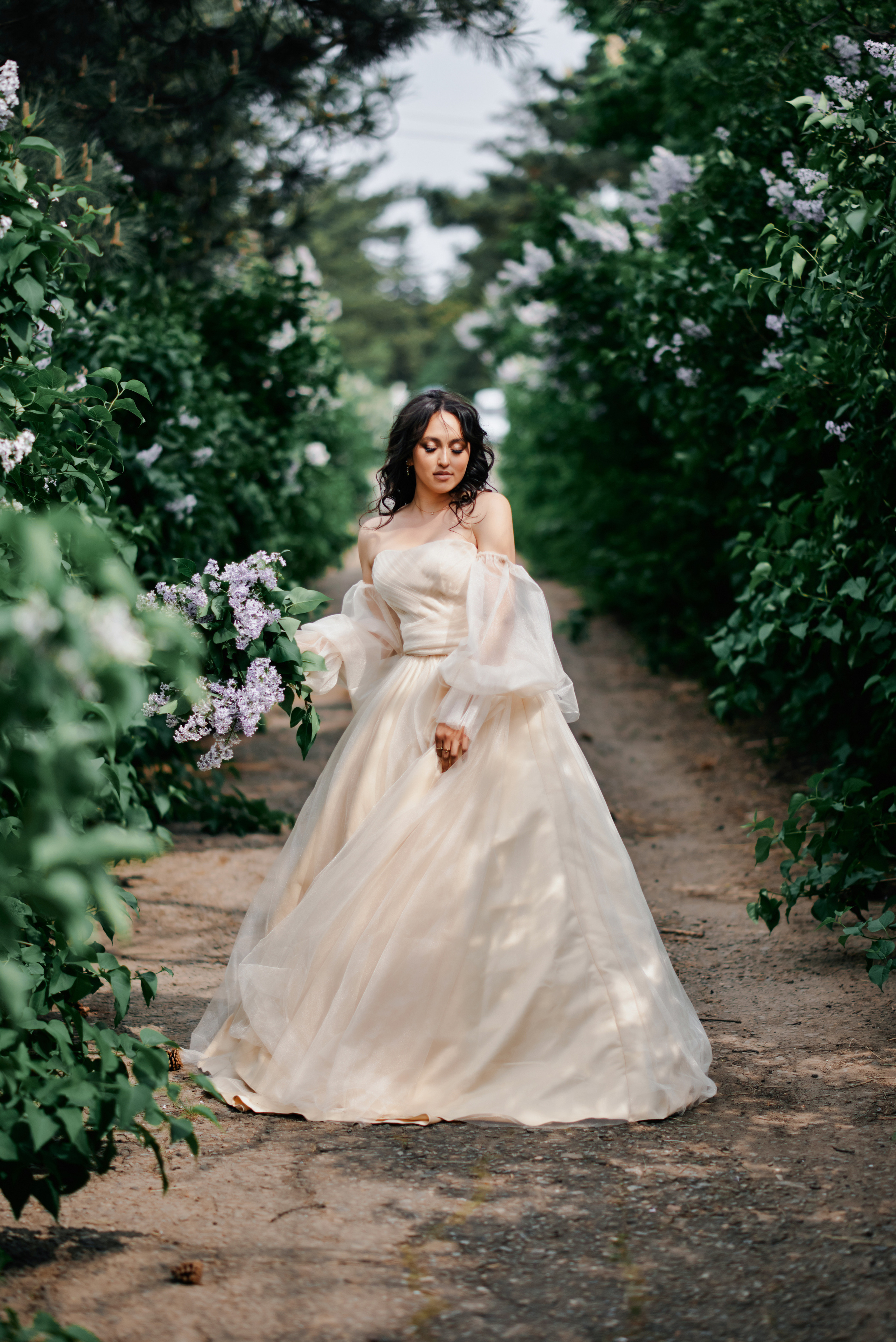 Portrait. Equestrian photos