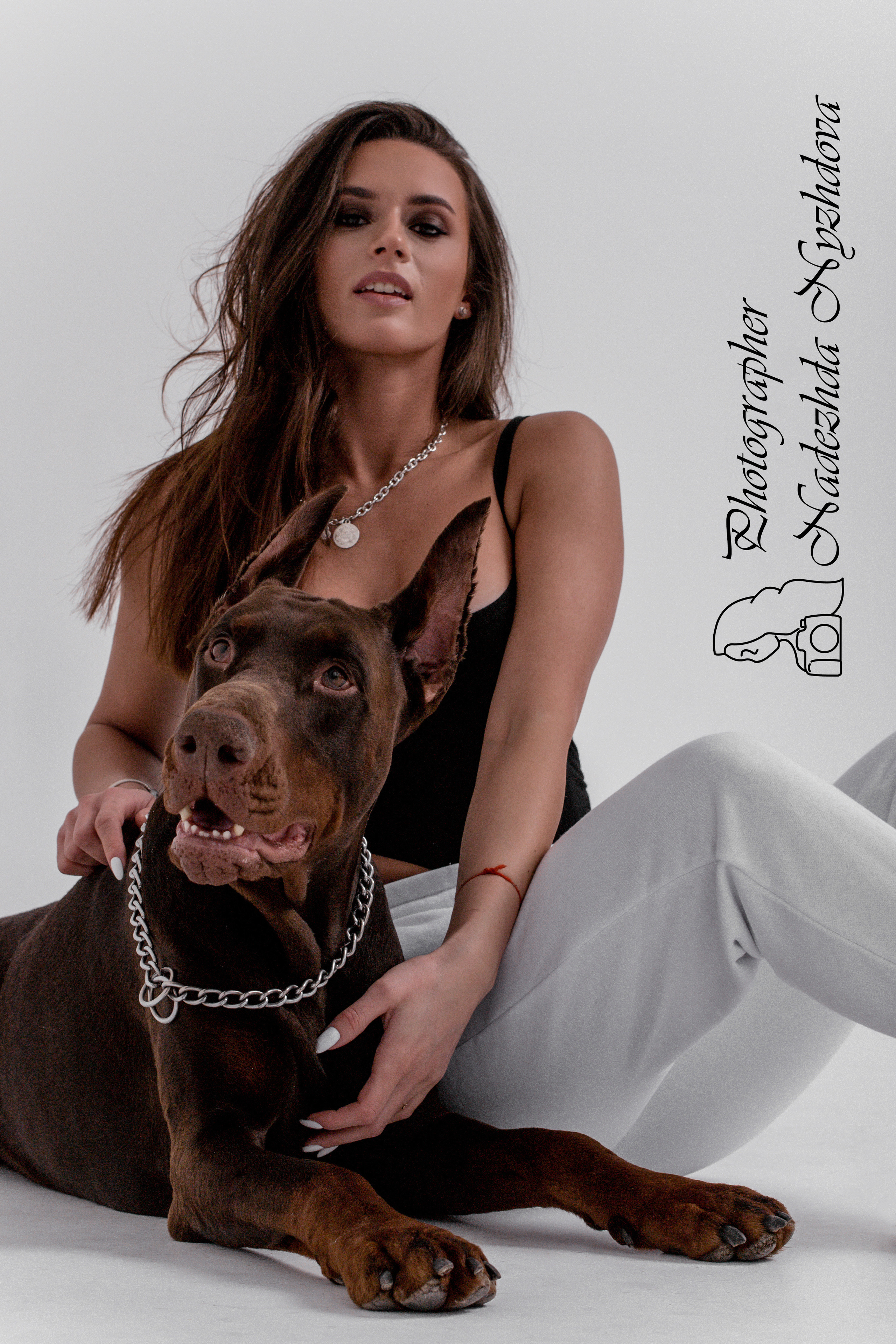 Доберман на циклораме. Свадебный фотограф в Санкт-Петербурге Надежда Нуждова