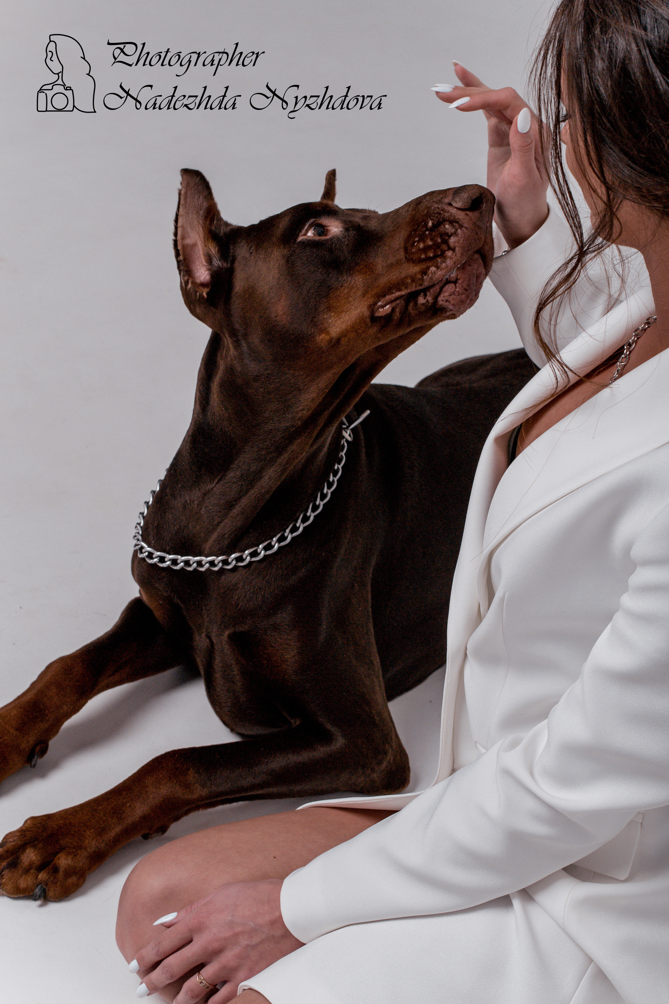 Доберман на циклораме. Свадебный фотограф в Санкт-Петербурге Надежда Нуждова