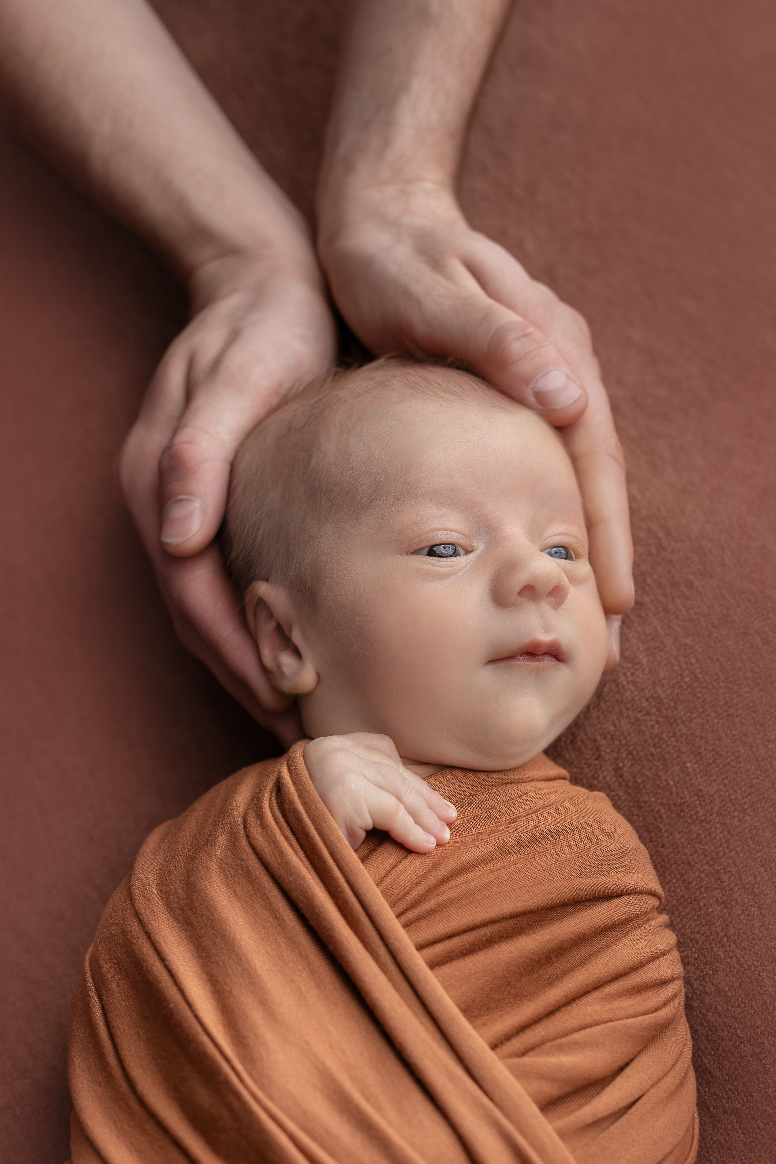Лев. Ольга SHREIBICUS — Фотография беременности и новорожденных Оренбург