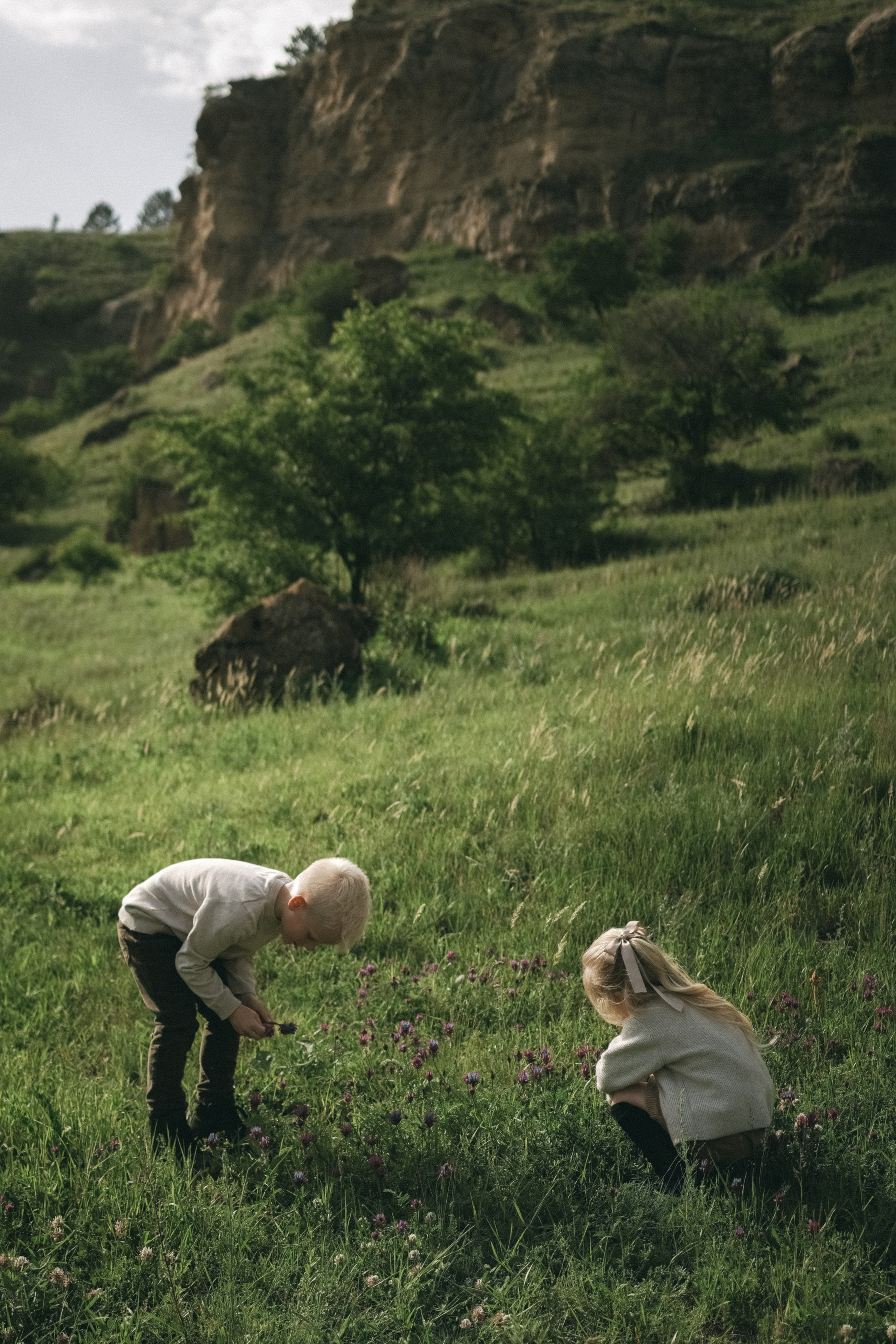 Фермерская история. Свадебный и семейный фотограф Афанасьева Анна в Кисловодске