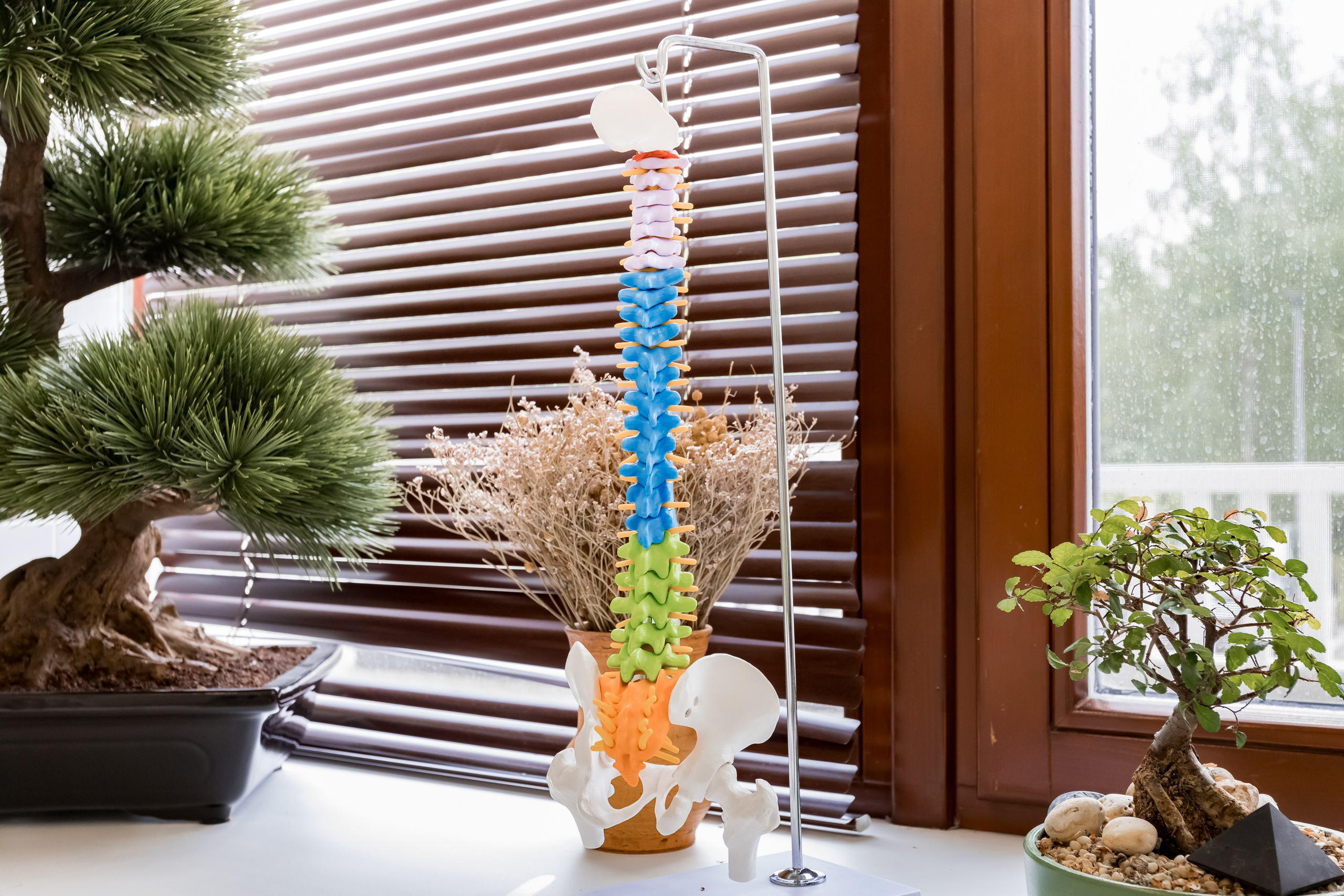 Фотосъемка для клиники доктора Маршенина на улице Крупской. Интерьеры, Контент, Портреты | Фотограф в Москве Дани Терно