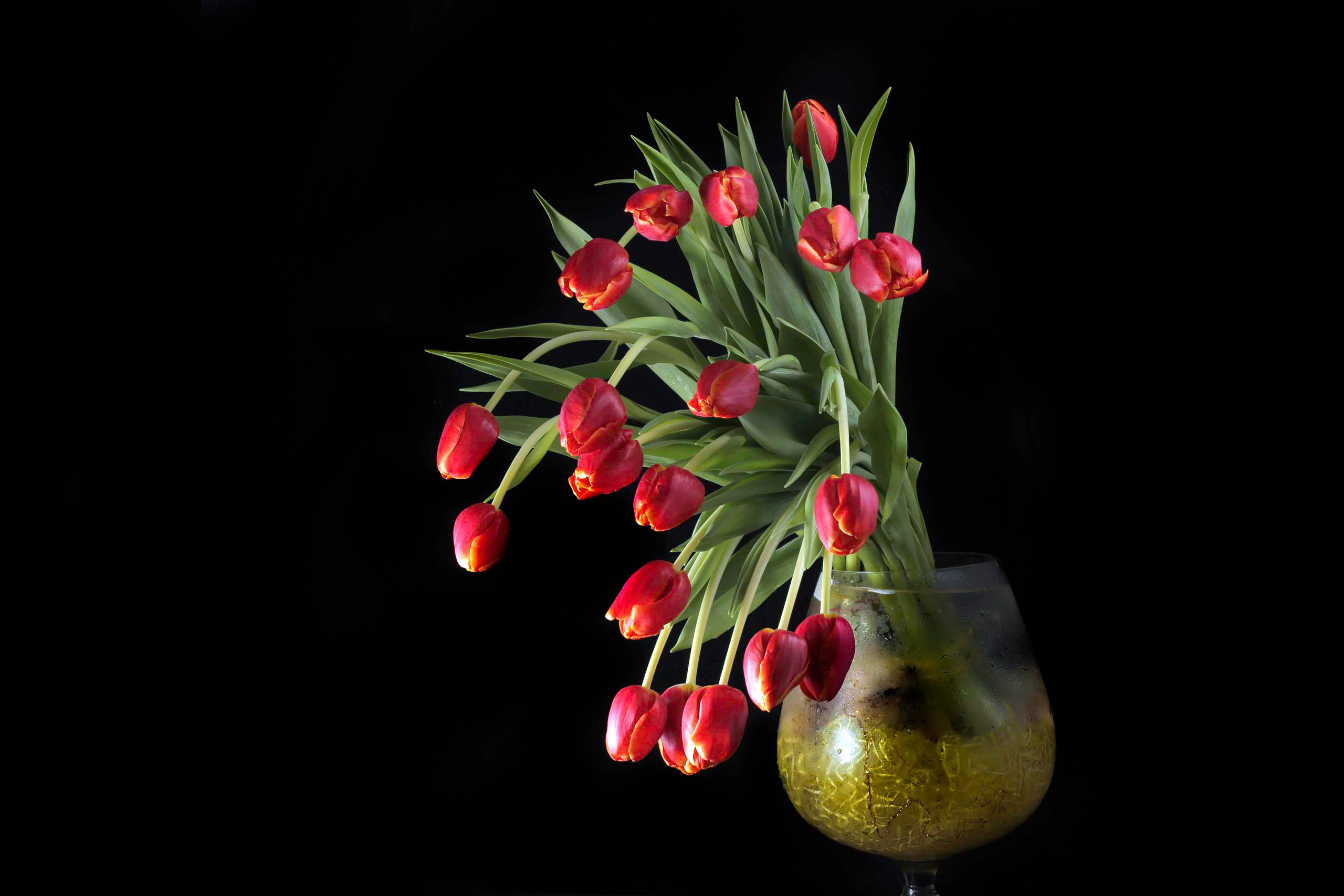 Фото Цветов. Студия Максима Белослюдцева