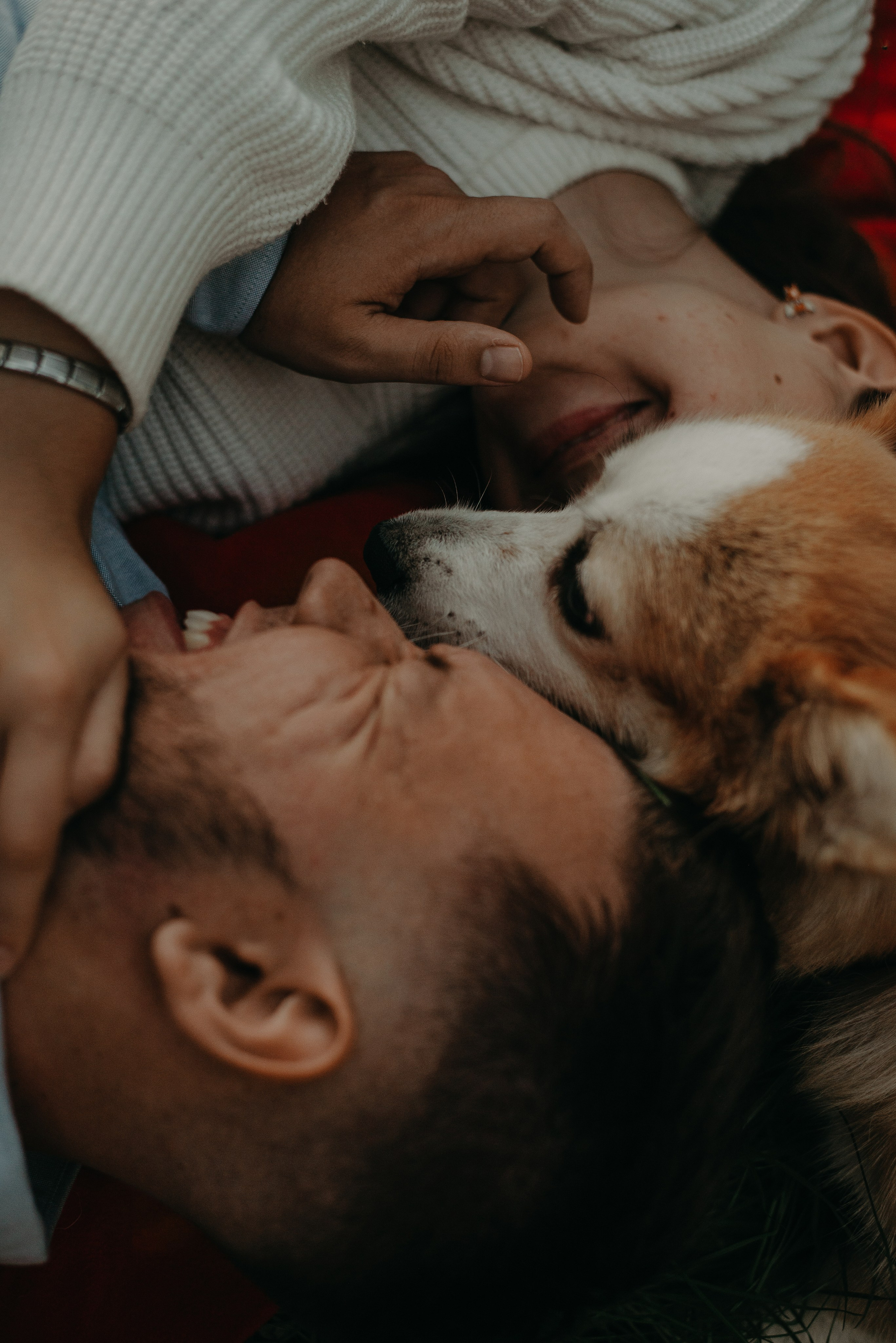 Никита, Настя и Мэрси. Ирина Метелица фотограф на Шикотане