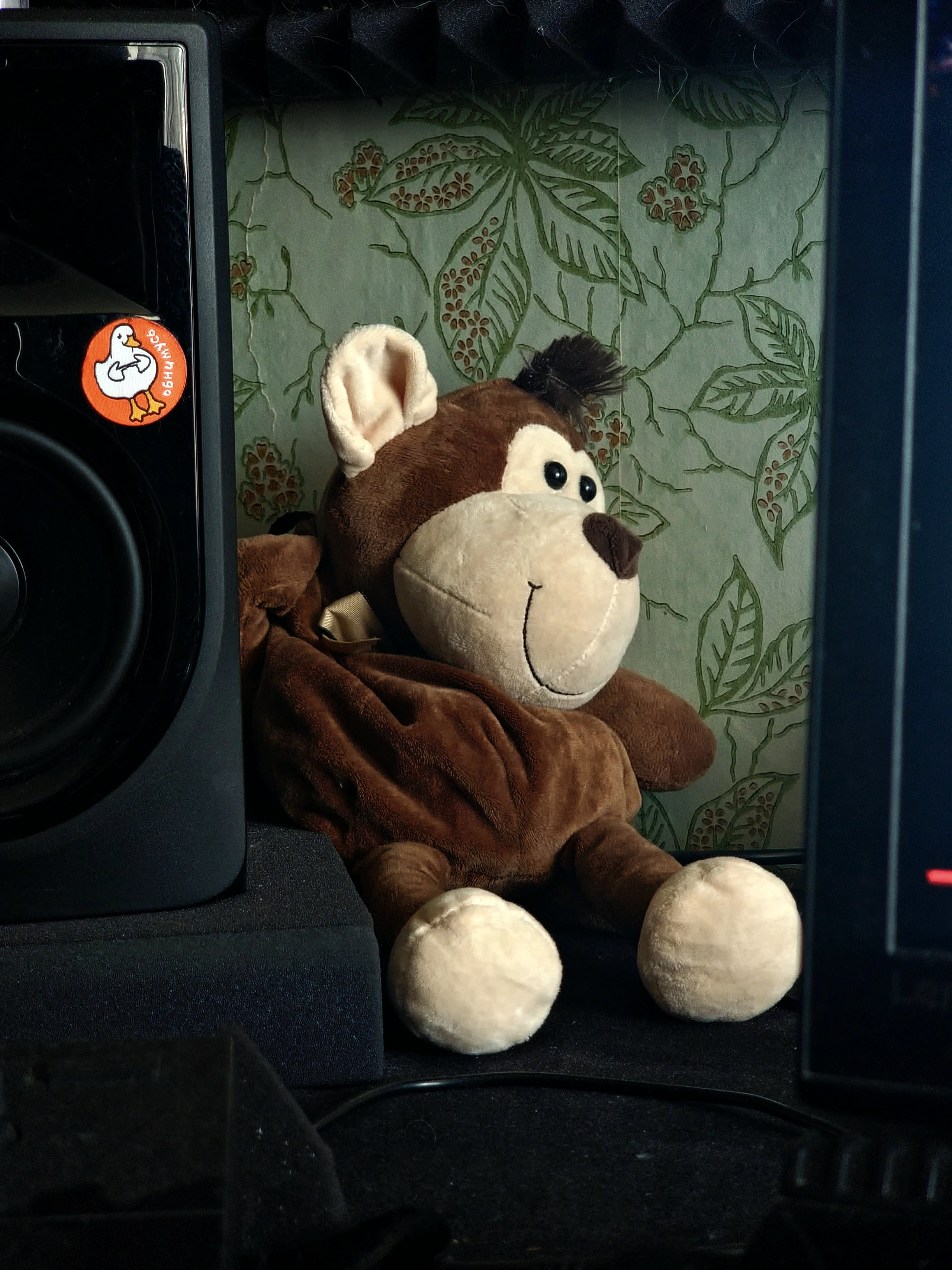 Июль 2025. Den Mirov — Фотограф, Музыкант